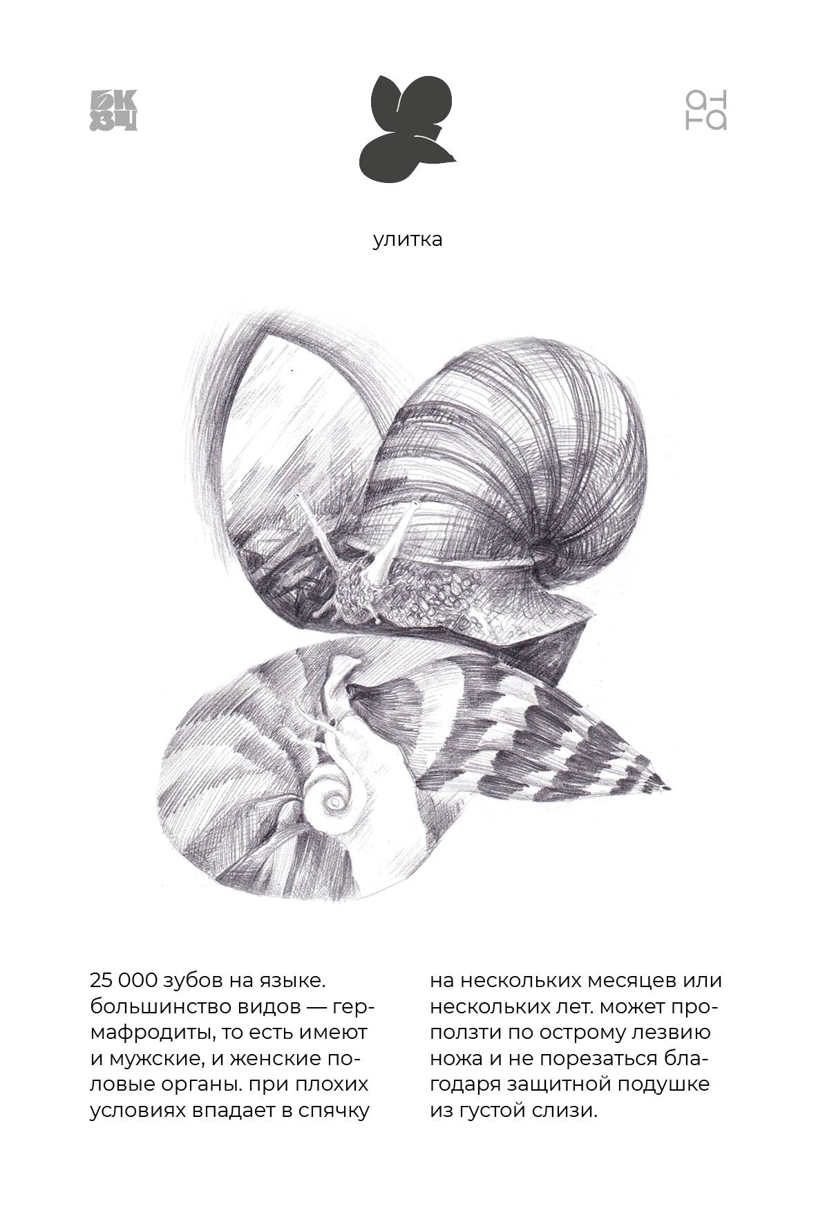 Царство Животные для БКВЧ — Изображение №49 — Иллюстрация, Графика на Dprofile