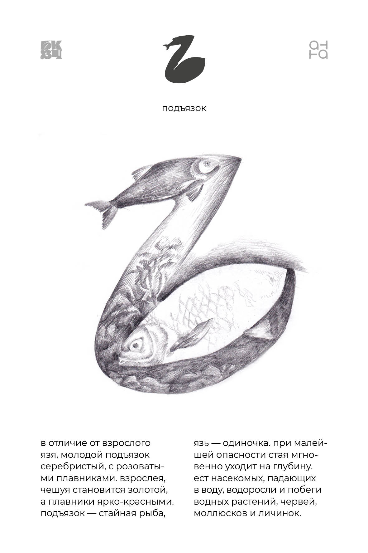 Царство Животные для БКВЧ — Изображение №135 — Иллюстрация, Графика на Dprofile