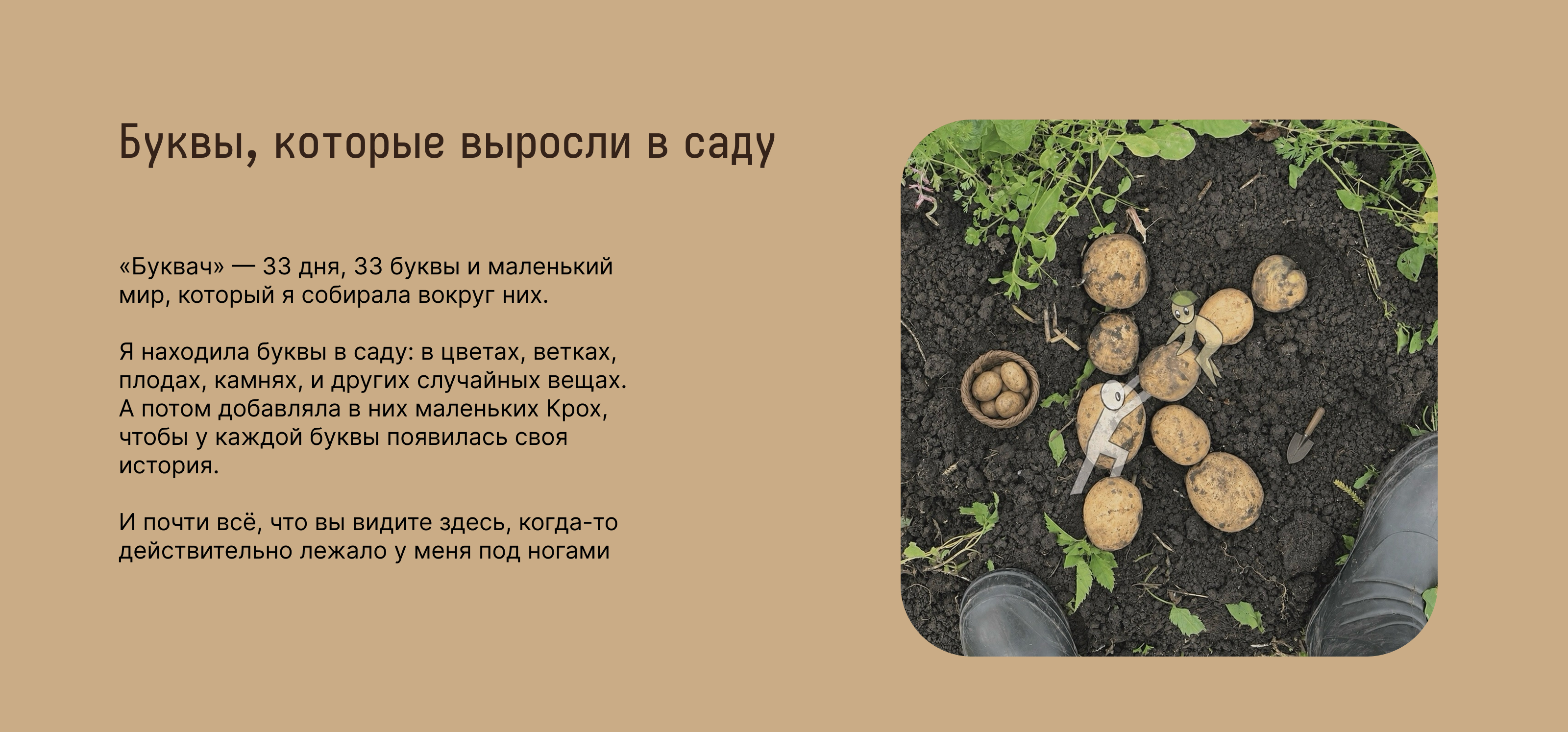 Крохи | БКВЧ'26 — Изображение №2 — Иллюстрация, Графика на Dprofile