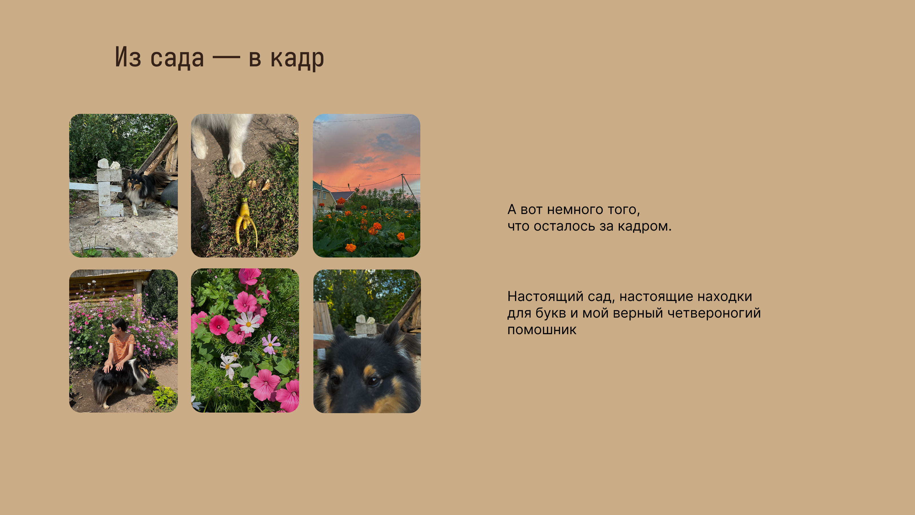 Крохи | БКВЧ'26 — Изображение №4 — Иллюстрация, Графика на Dprofile