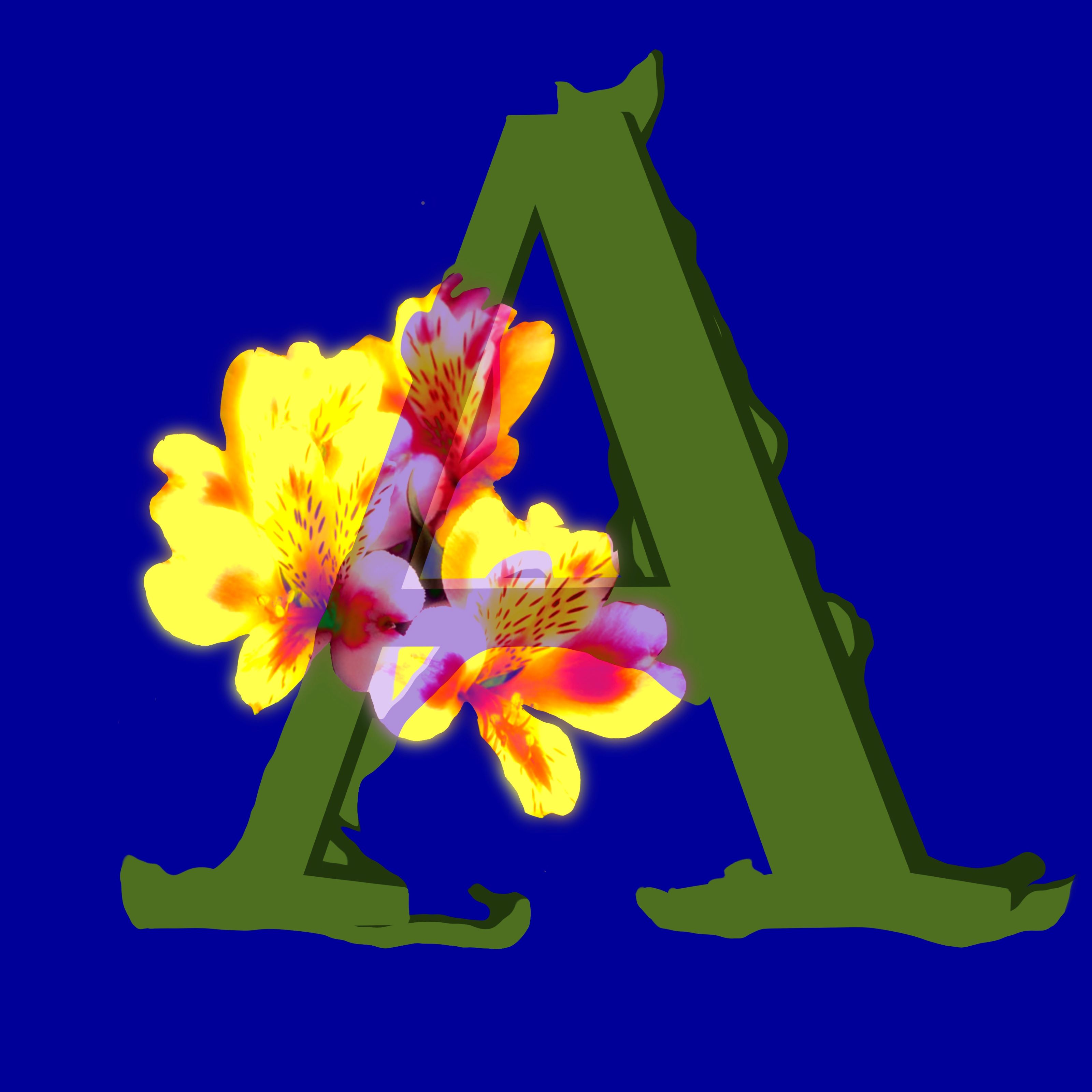Цветочный алфавит — Изображение №1 — Иллюстрация, Графика на Dprofile