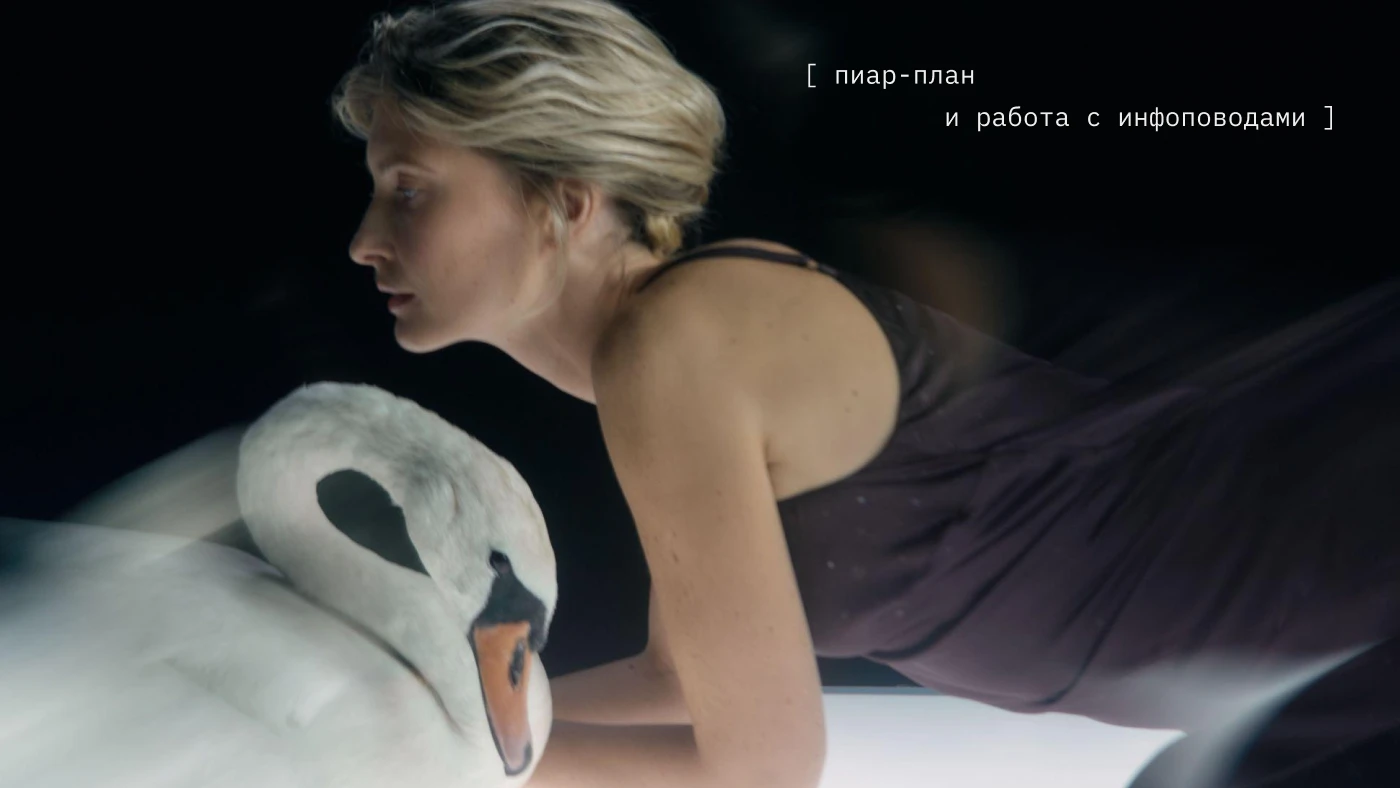 Дизайн презентации для Sheberg Agency — Изображение №7 — Графика, Маркетинг на Dprofile