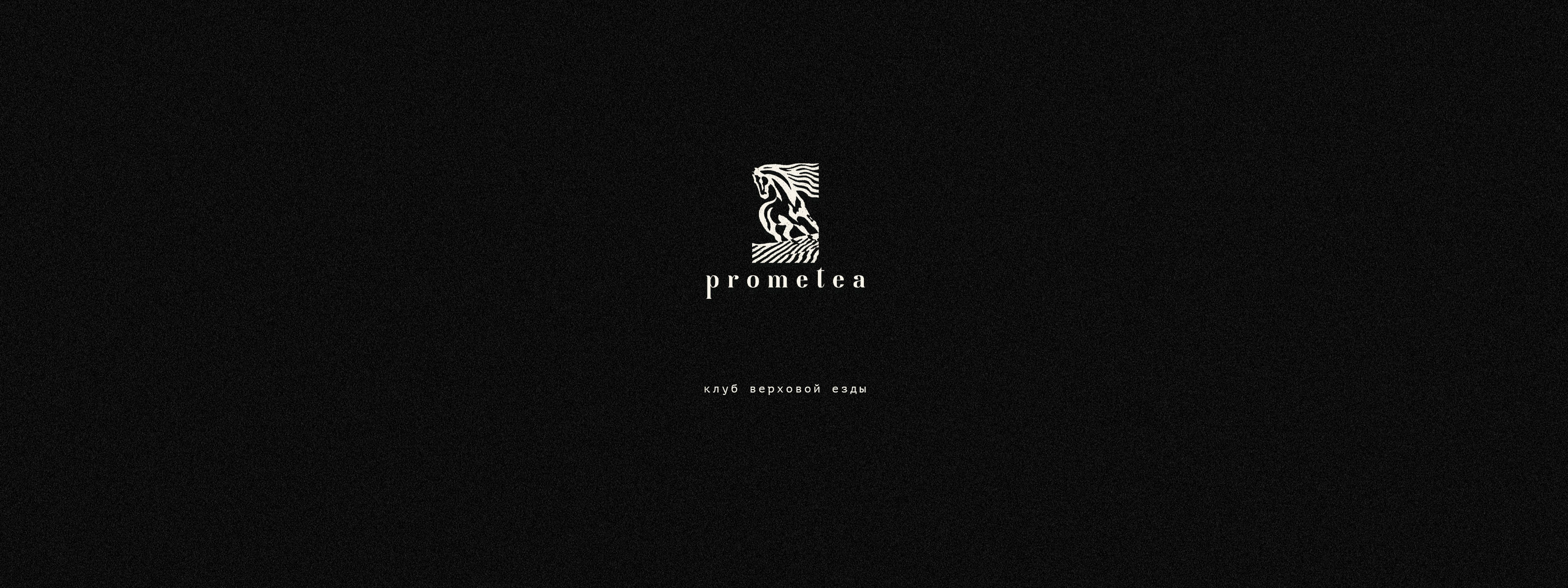 PROMETEA|Конный клуб — Изображение №15 — Брендинг на Dprofile
