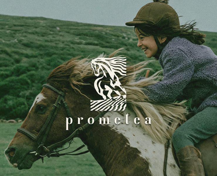 PROMETEA|Конный клуб — Брендинг на Dprofile