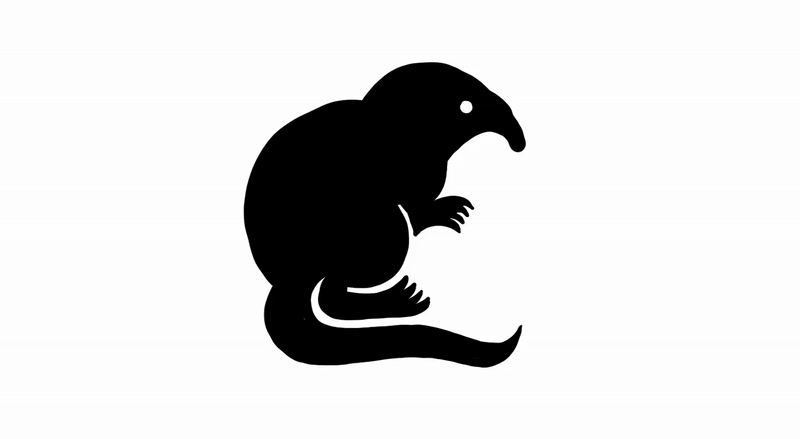 Ребрендинг лектория Зоологического музея МГУ (ЗММУ) — Изображение №2 — Брендинг на Dprofile