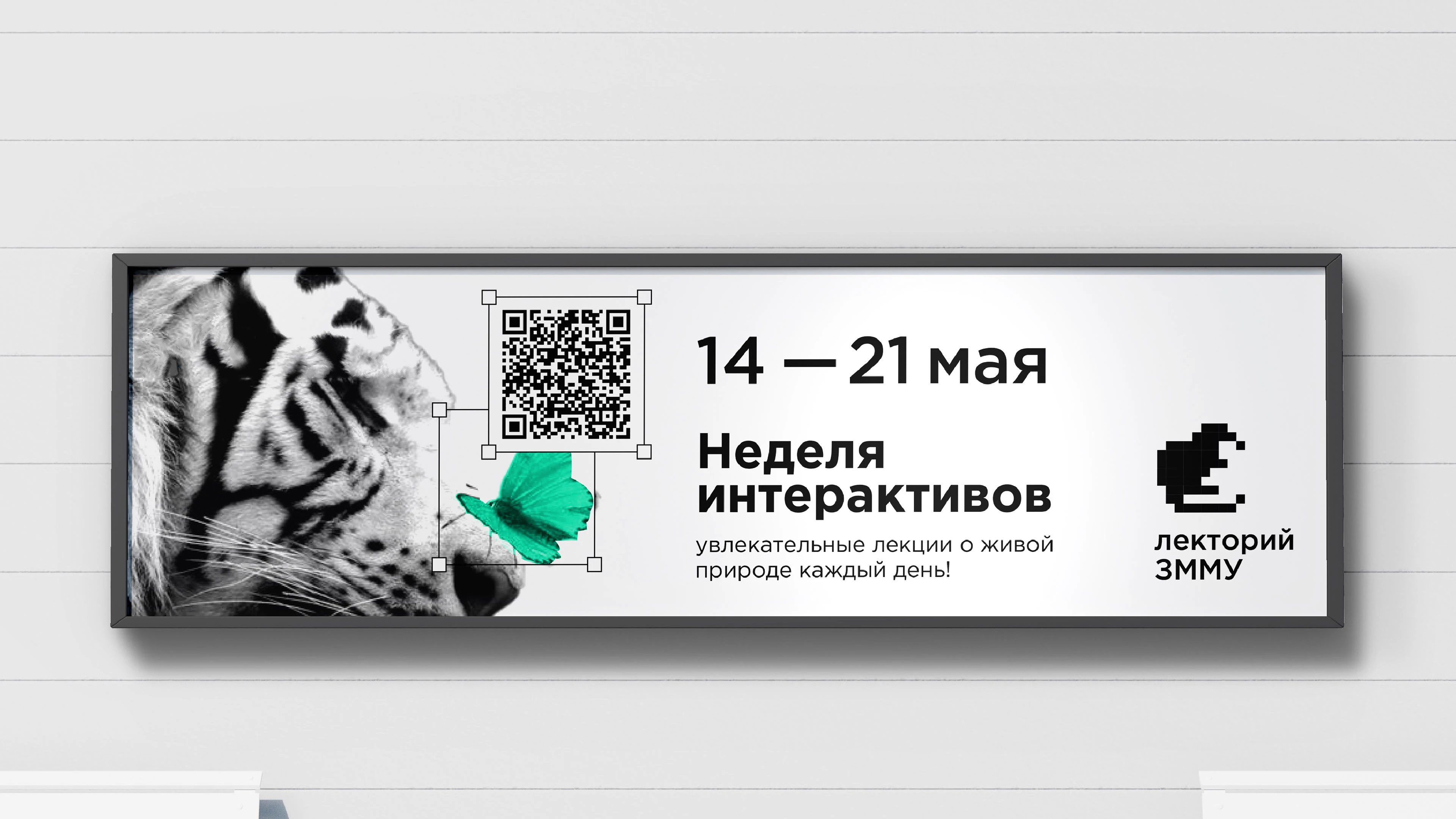 Ребрендинг лектория Зоологического музея МГУ (ЗММУ) — Изображение №15 — Брендинг на Dprofile
