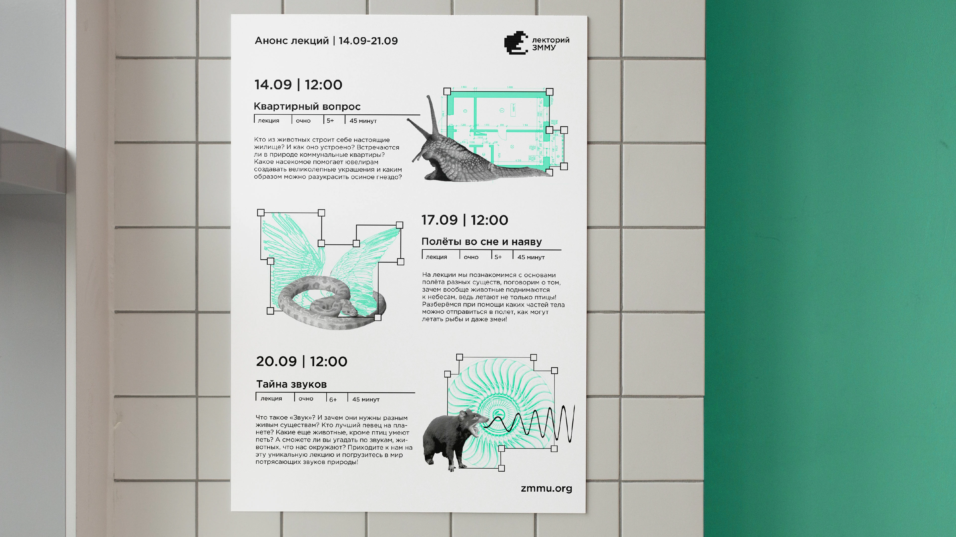 Ребрендинг лектория Зоологического музея МГУ (ЗММУ) — Изображение №14 — Брендинг на Dprofile
