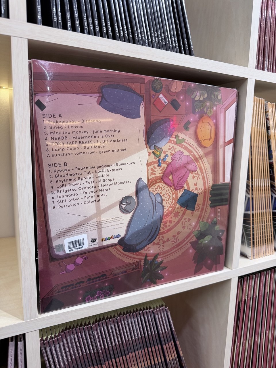 Iliminskiy x BSG Rcords. Vinyl cover Art — Изображение №9 — Брендинг, Иллюстрация на Dprofile