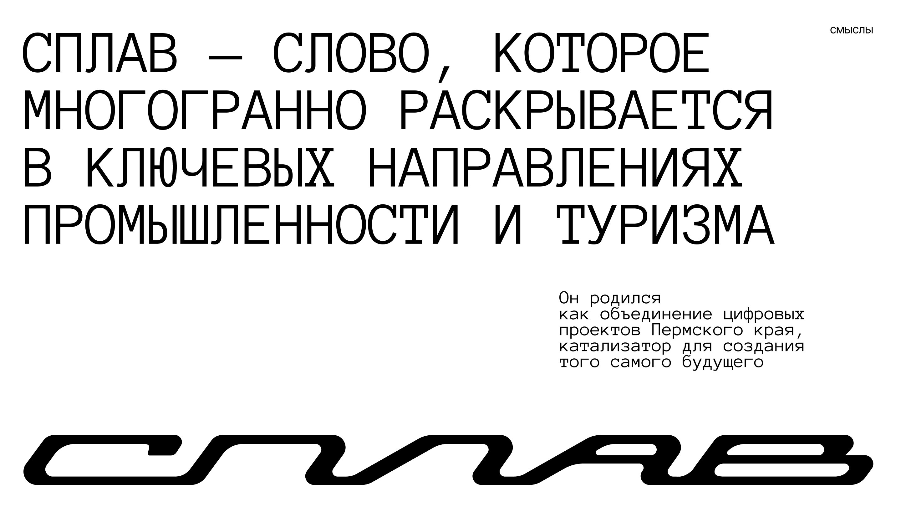 Сплав — брендинг цифровых проектов Пермского края — Изображение №7 — Брендинг на Dprofile
