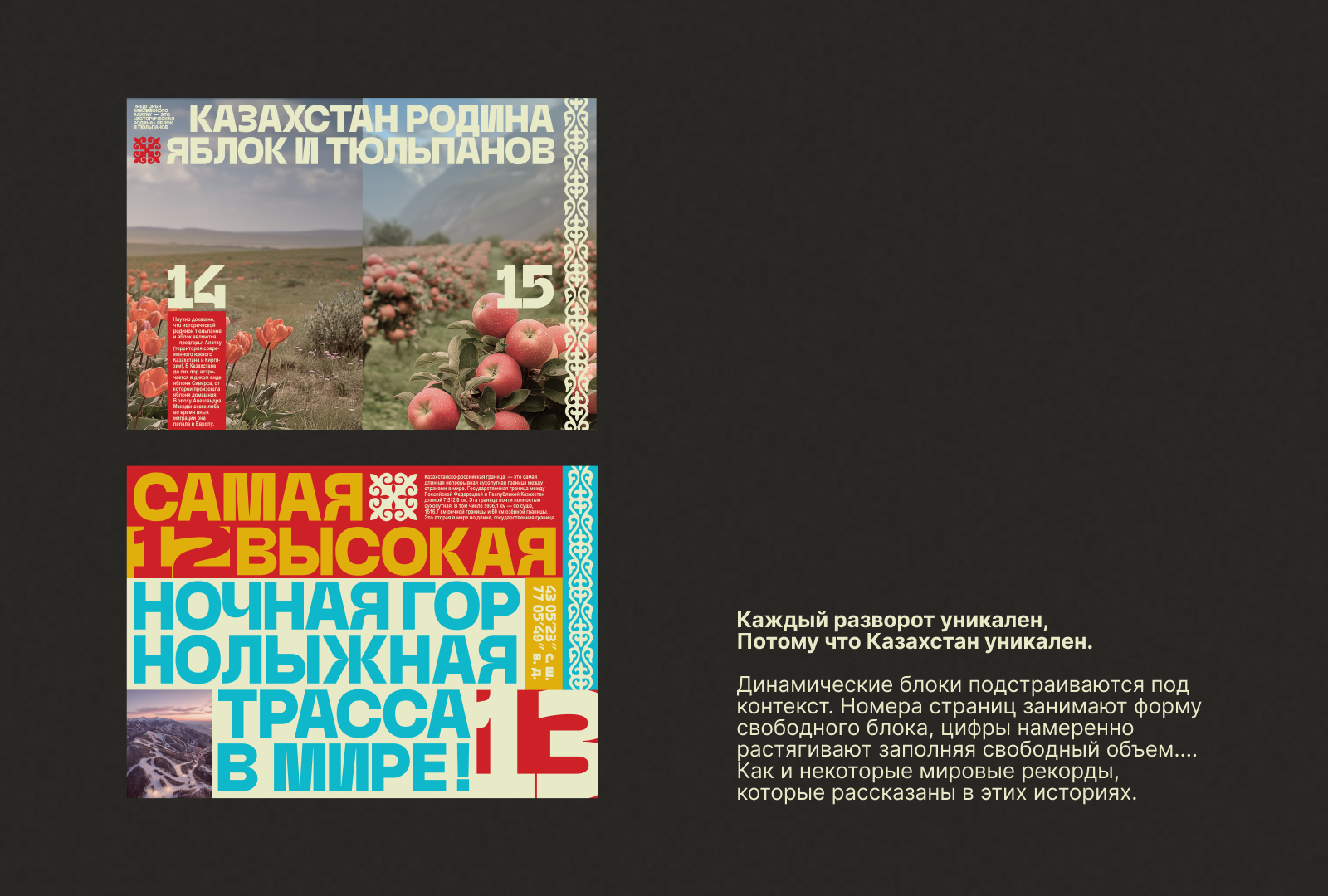 Зин о Казахстане — Изображение №3 — Брендинг, Графика на Dprofile