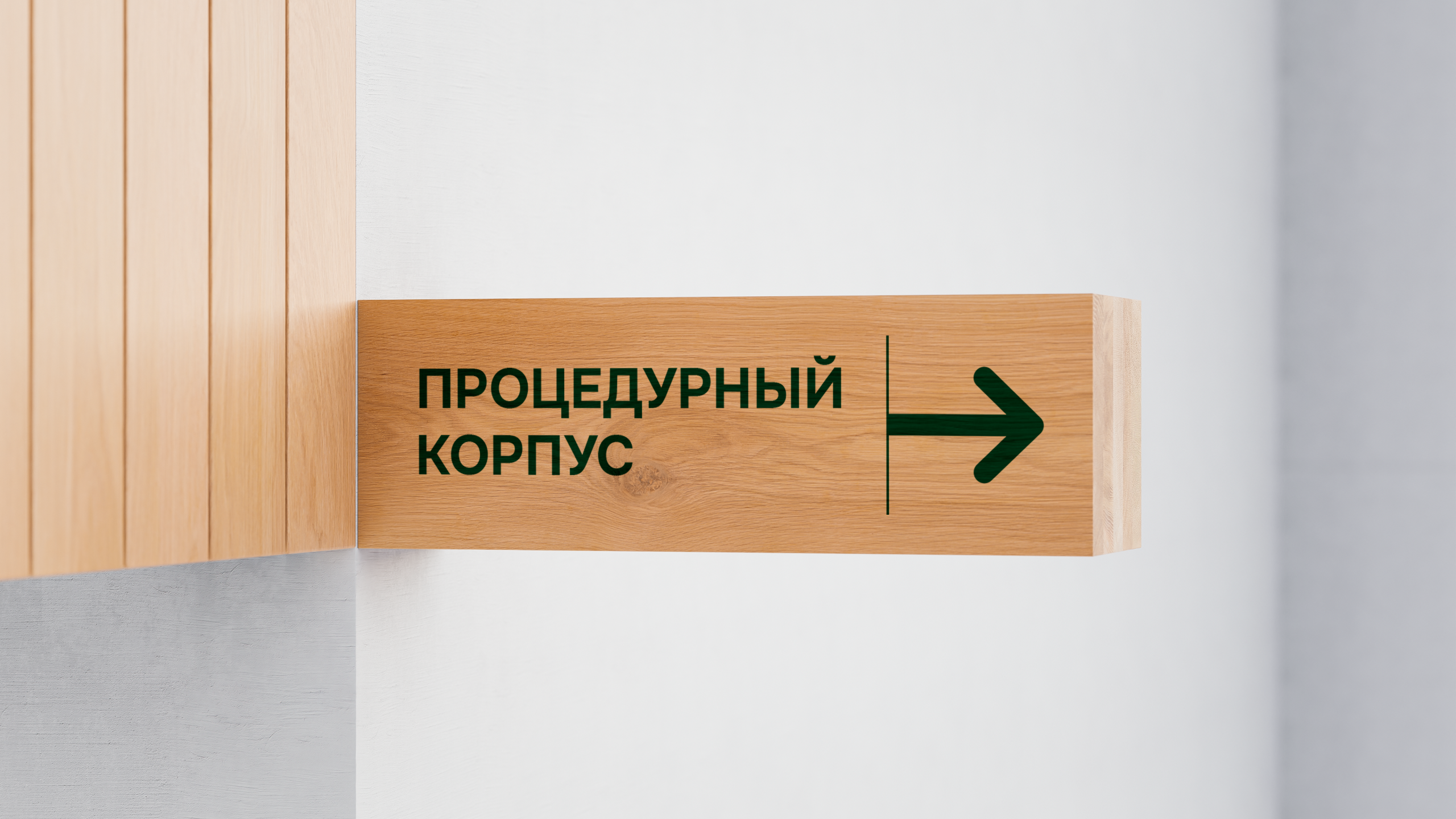 Сеть санаториев | Брендинг — Изображение №18 — Брендинг, Графика на Dprofile