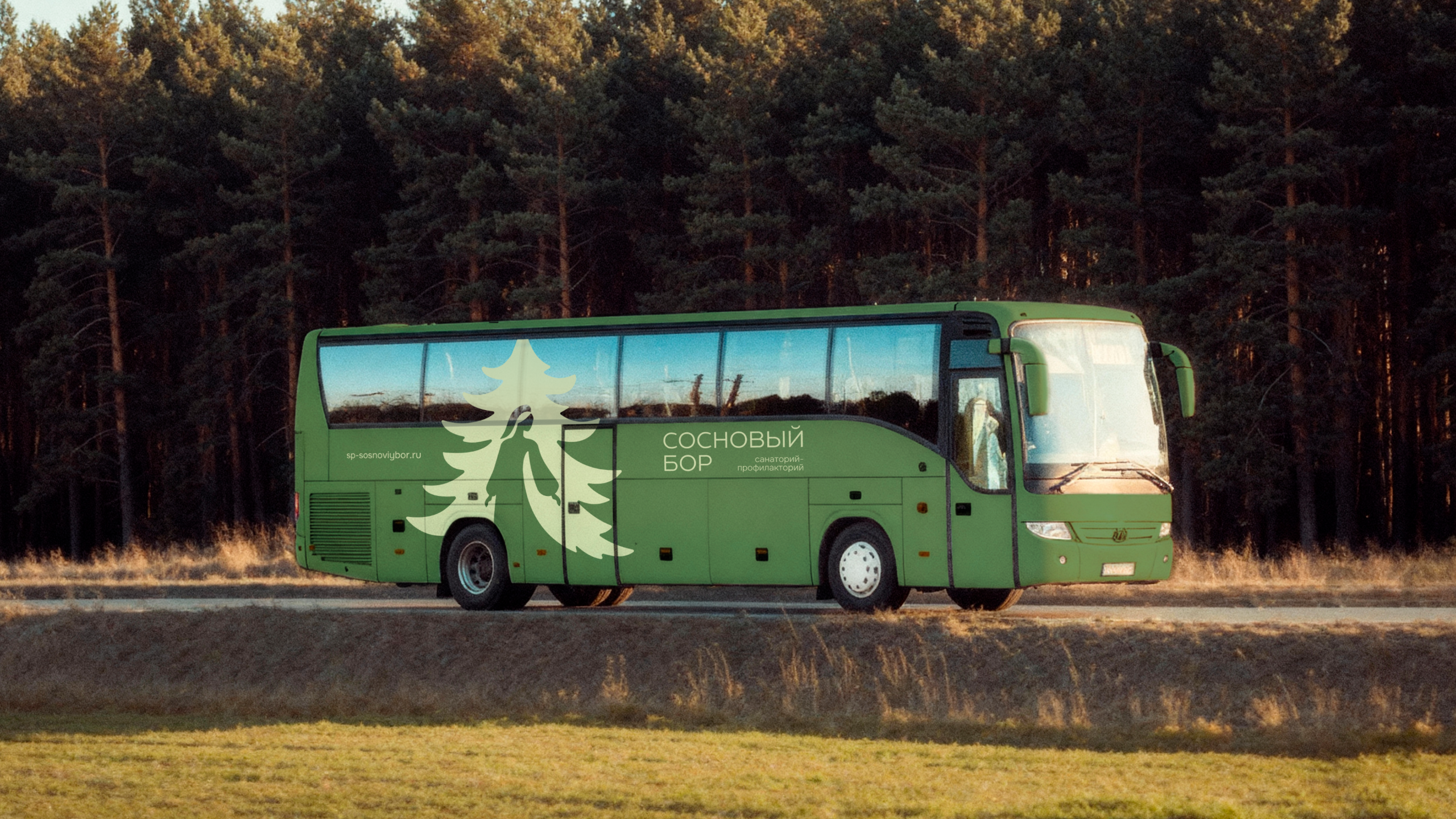 Сеть санаториев | Брендинг — Изображение №26 — Брендинг, Графика на Dprofile