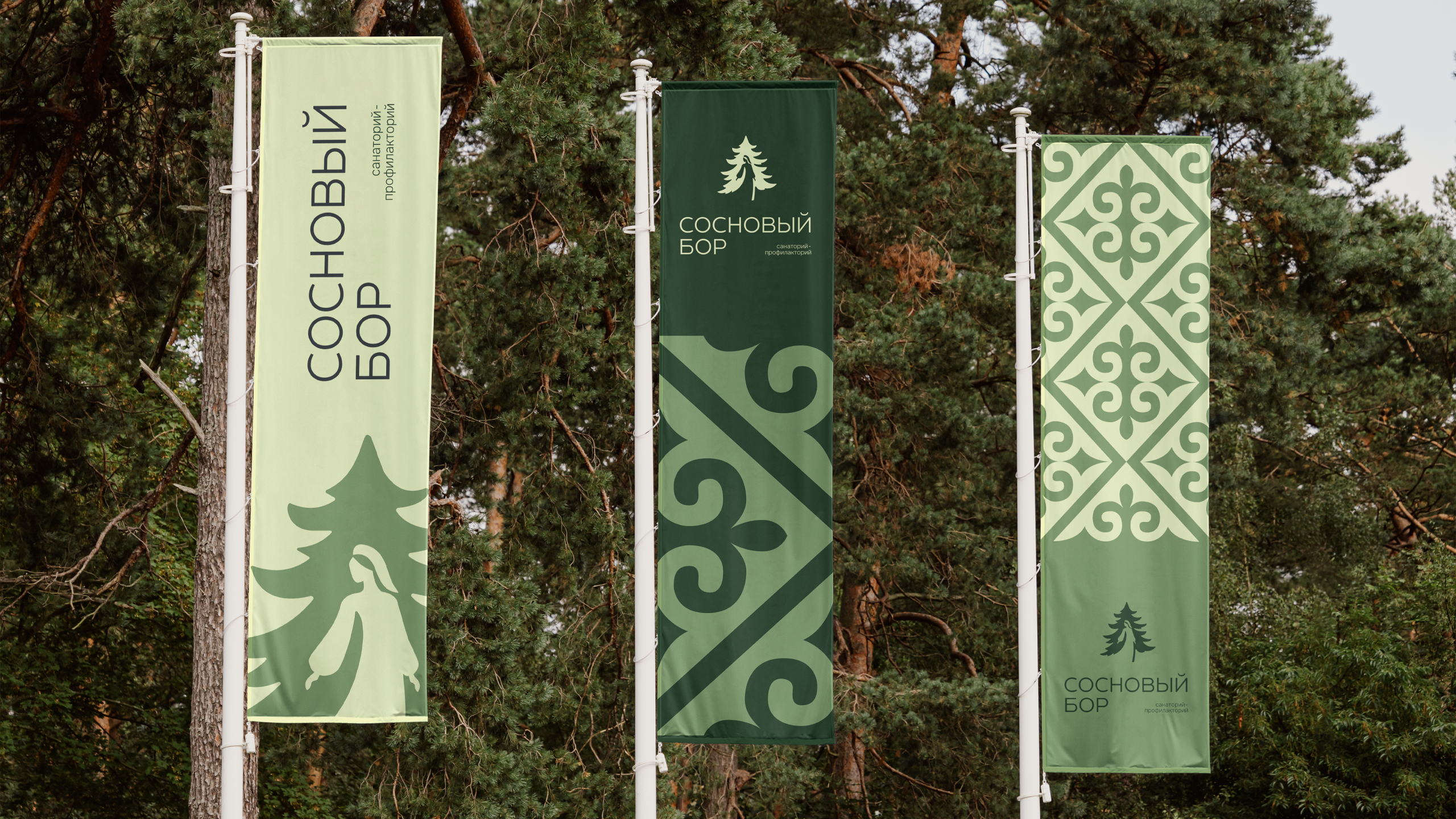Сеть санаториев | Брендинг — Изображение №15 — Брендинг, Графика на Dprofile