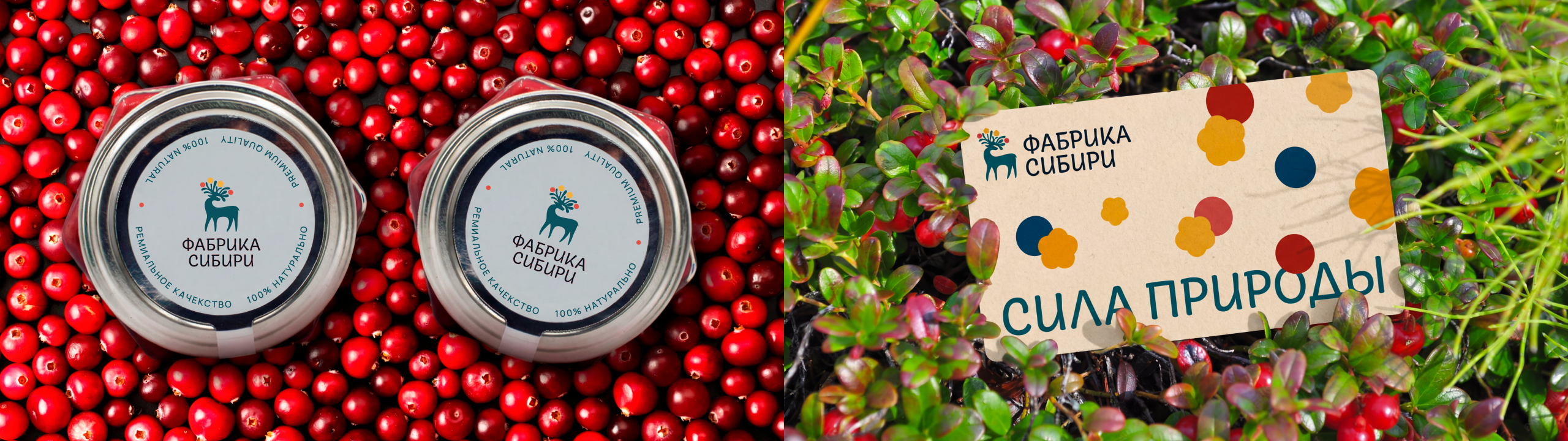 Logofolio 2025| Разработка логотипов — Изображение №29 — Брендинг на Dprofile