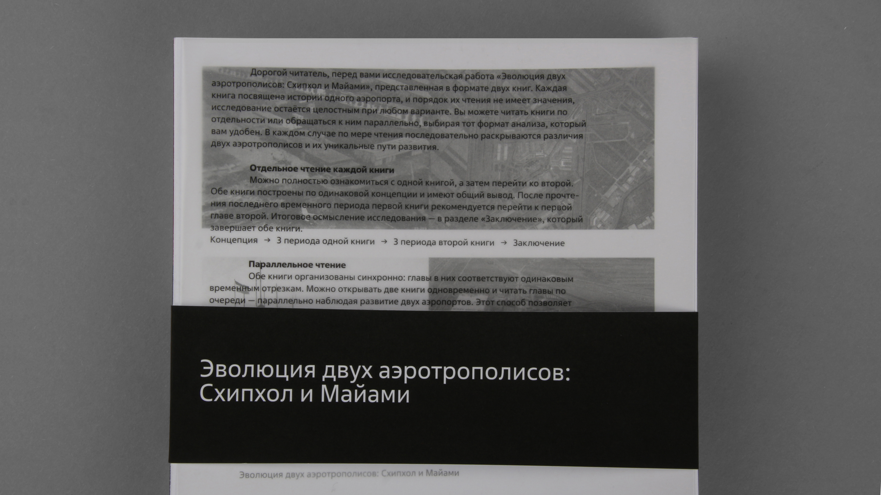 Визуальное исследование «Эволюция двух аэротрополисов: Схип… — Изображение №2 — Графика на Dprofile