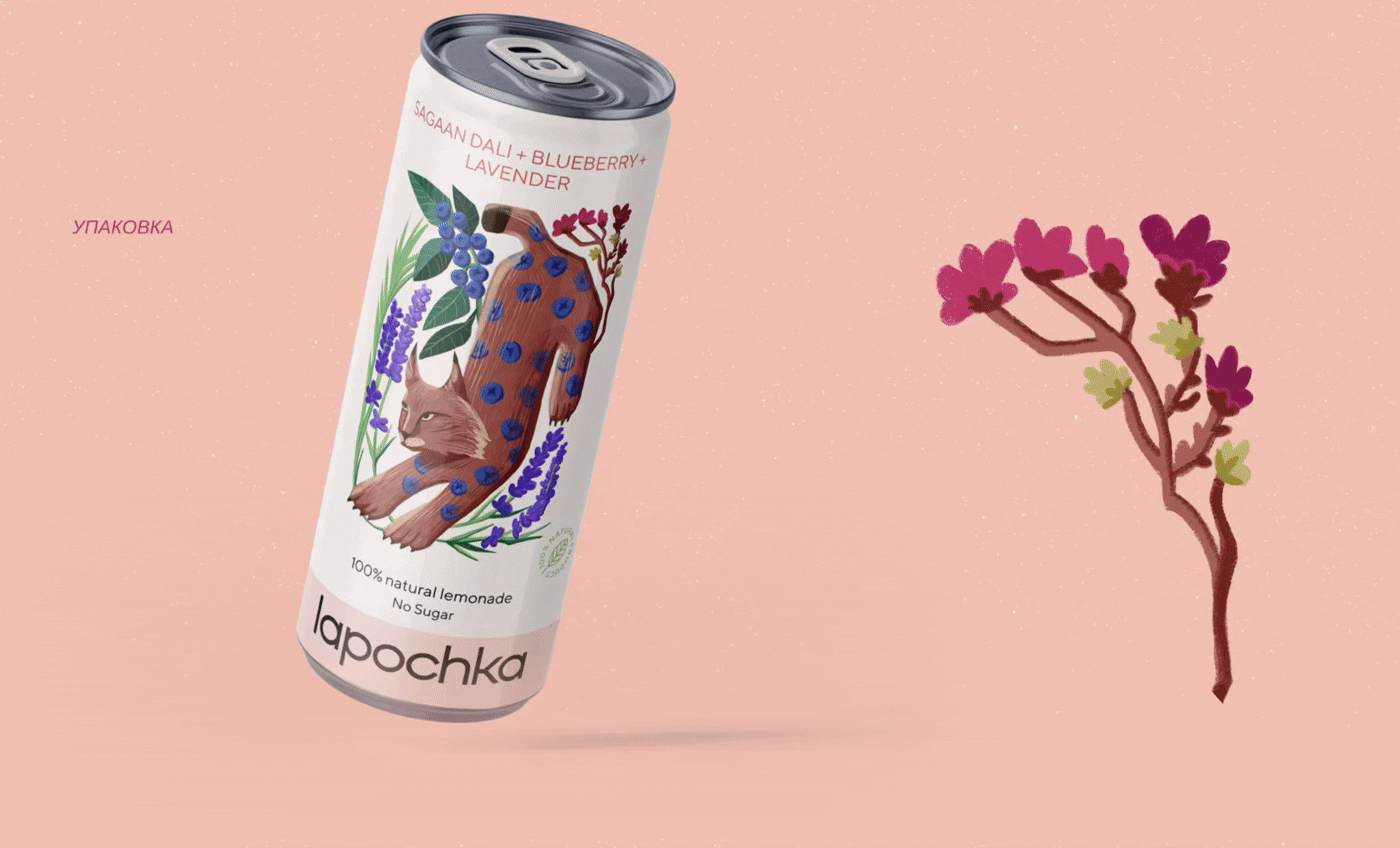 Packaging design | Lapochka X ENDY — Изображение №3 — Брендинг на Dprofile