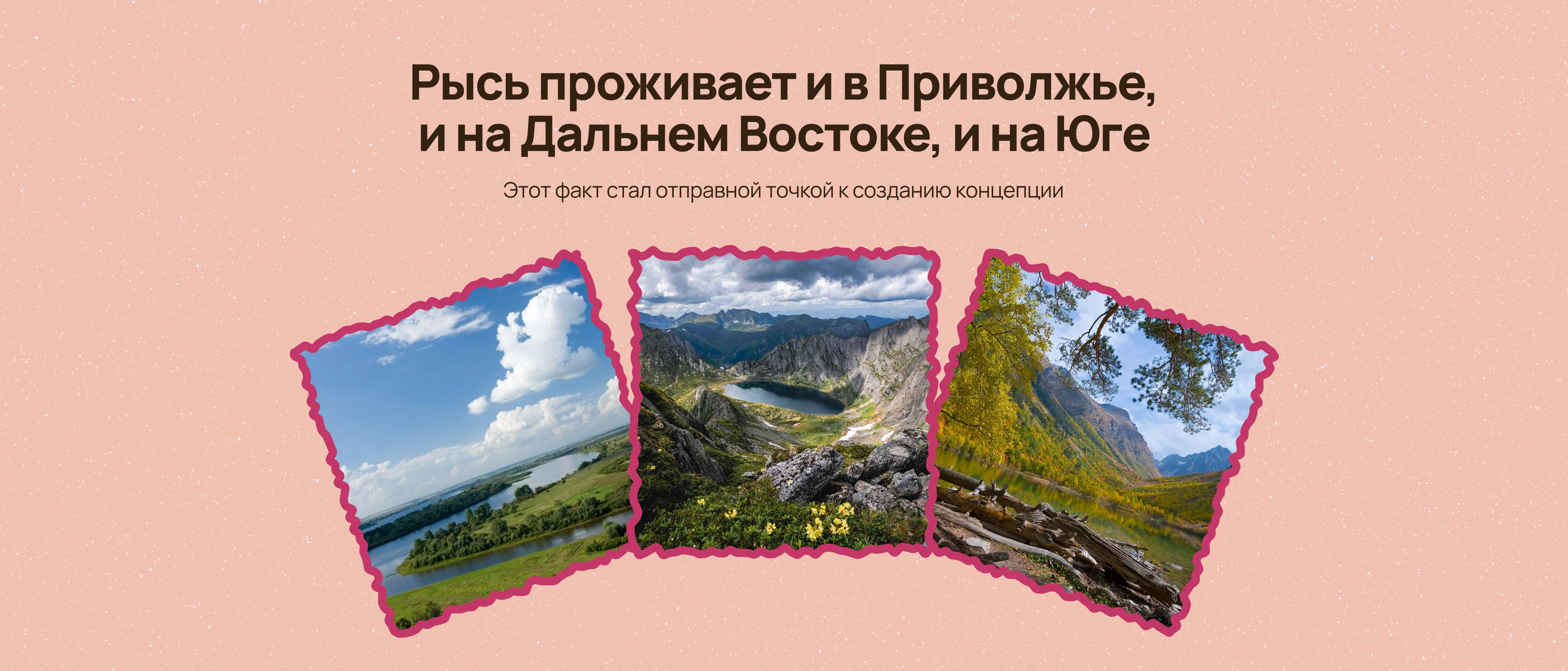 Packaging design | Lapochka X ENDY — Изображение №2 — Брендинг на Dprofile