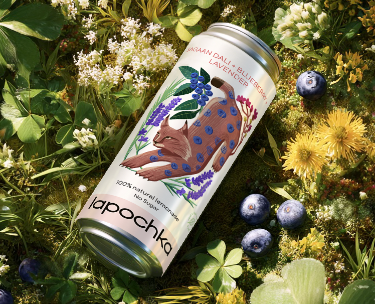 Packaging design | Lapochka X ENDY — Брендинг на Dprofile