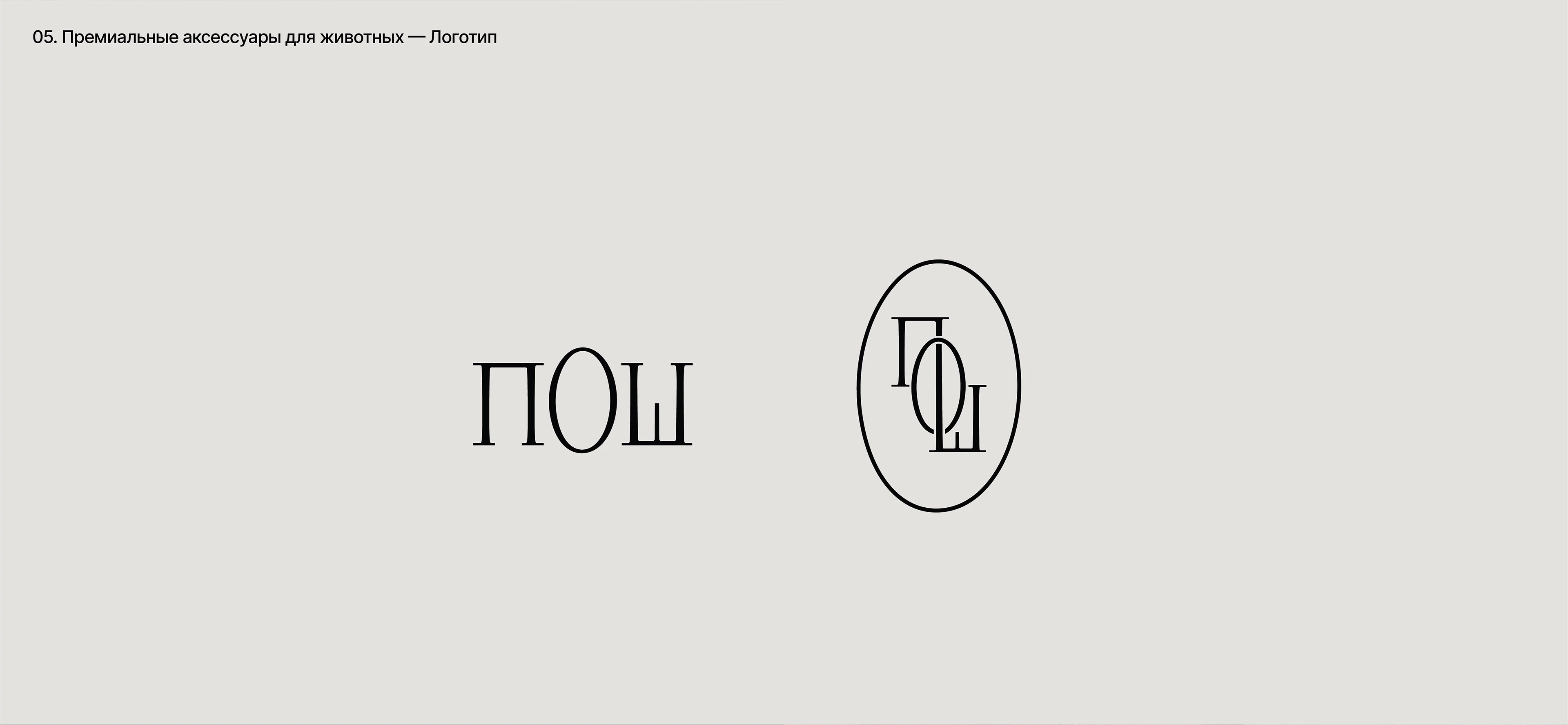 PORTFOLIO'25 — Изображение №11 — Брендинг на Dprofile