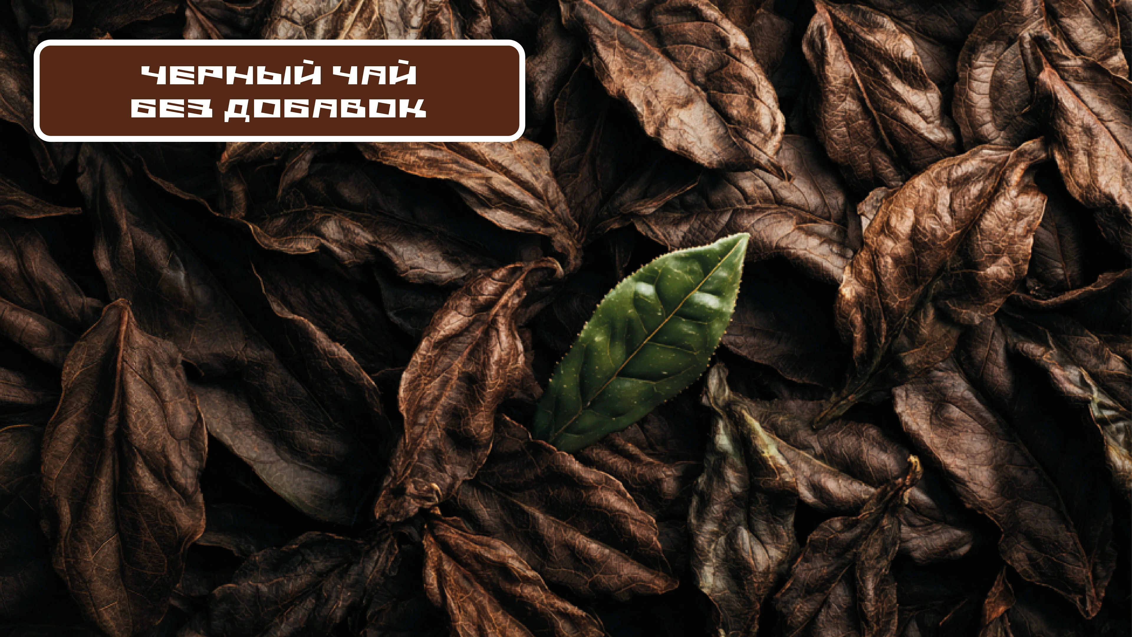 ДИЗАЙН УПАКОВКИ ЧАЯ | TEA PACKAGING DESIGN — Изображение №16 — Брендинг на Dprofile