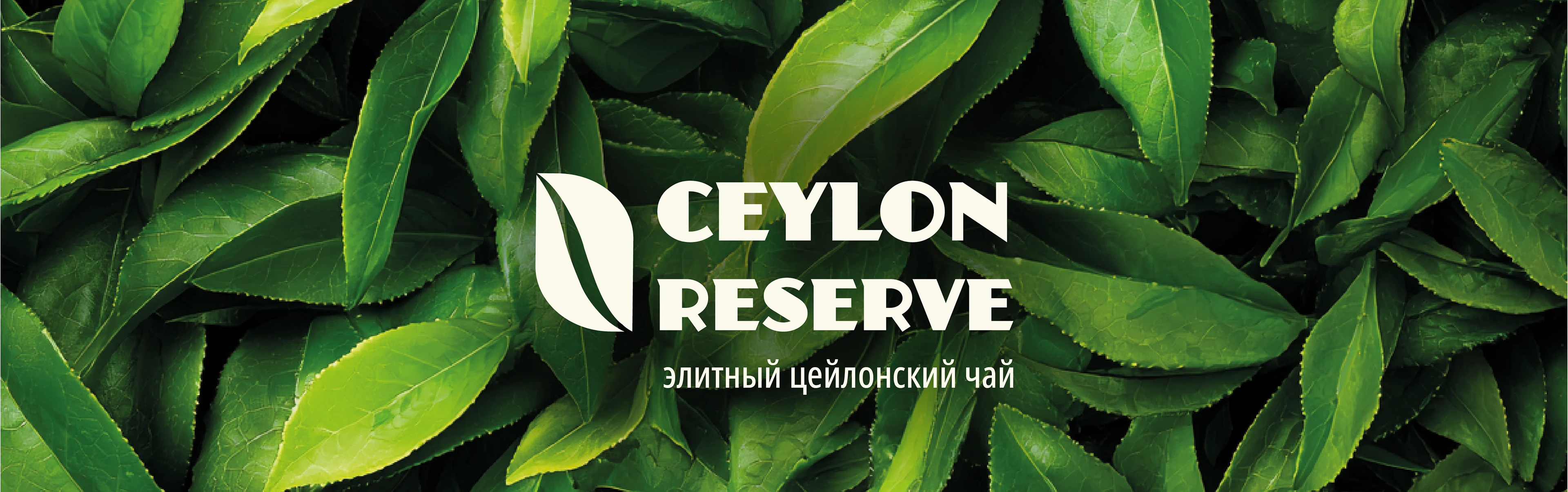 ДИЗАЙН УПАКОВКИ ЧАЯ | TEA PACKAGING DESIGN — Изображение №1 — Брендинг на Dprofile