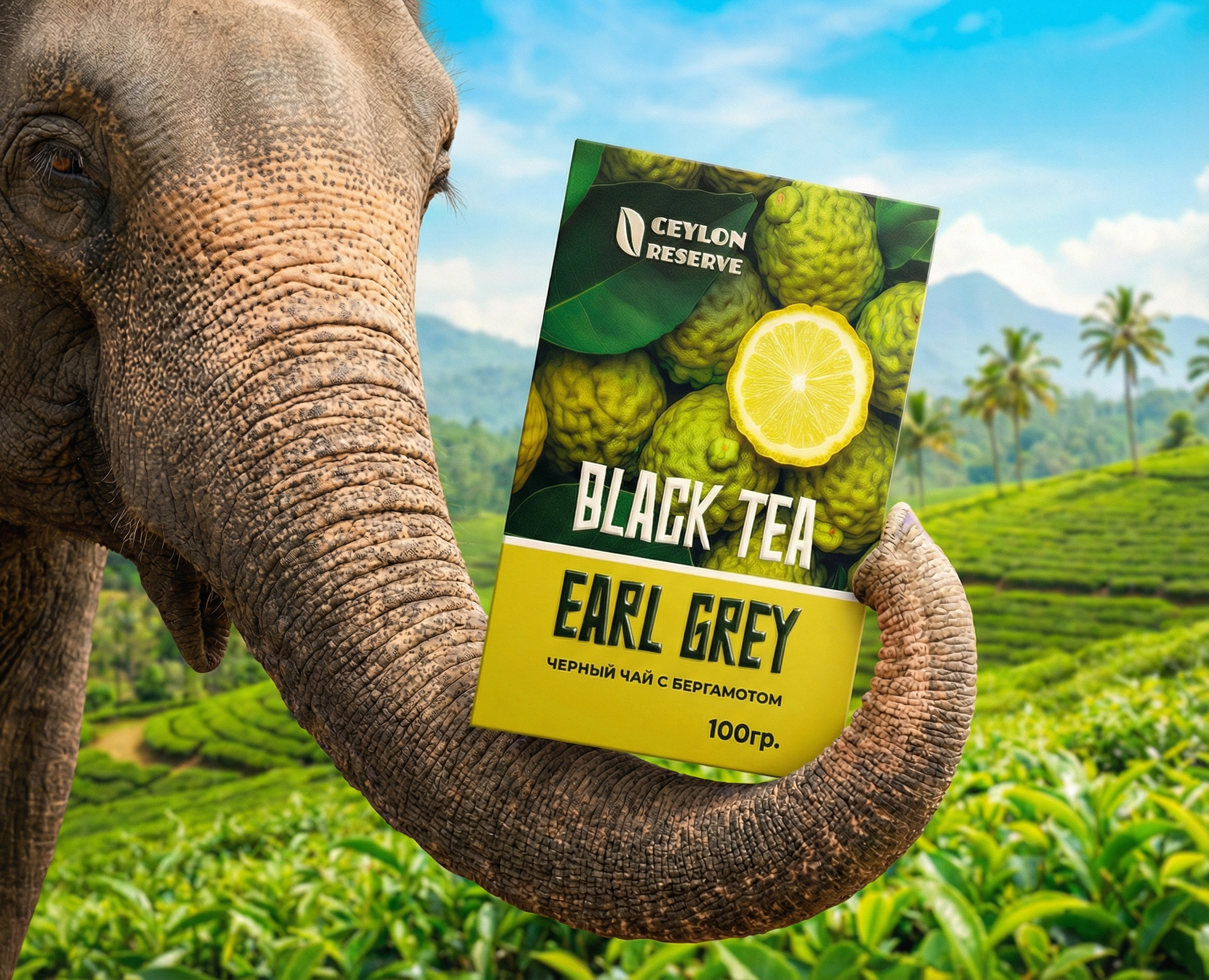 ДИЗАЙН УПАКОВКИ ЧАЯ | TEA PACKAGING DESIGN — Брендинг на Dprofile