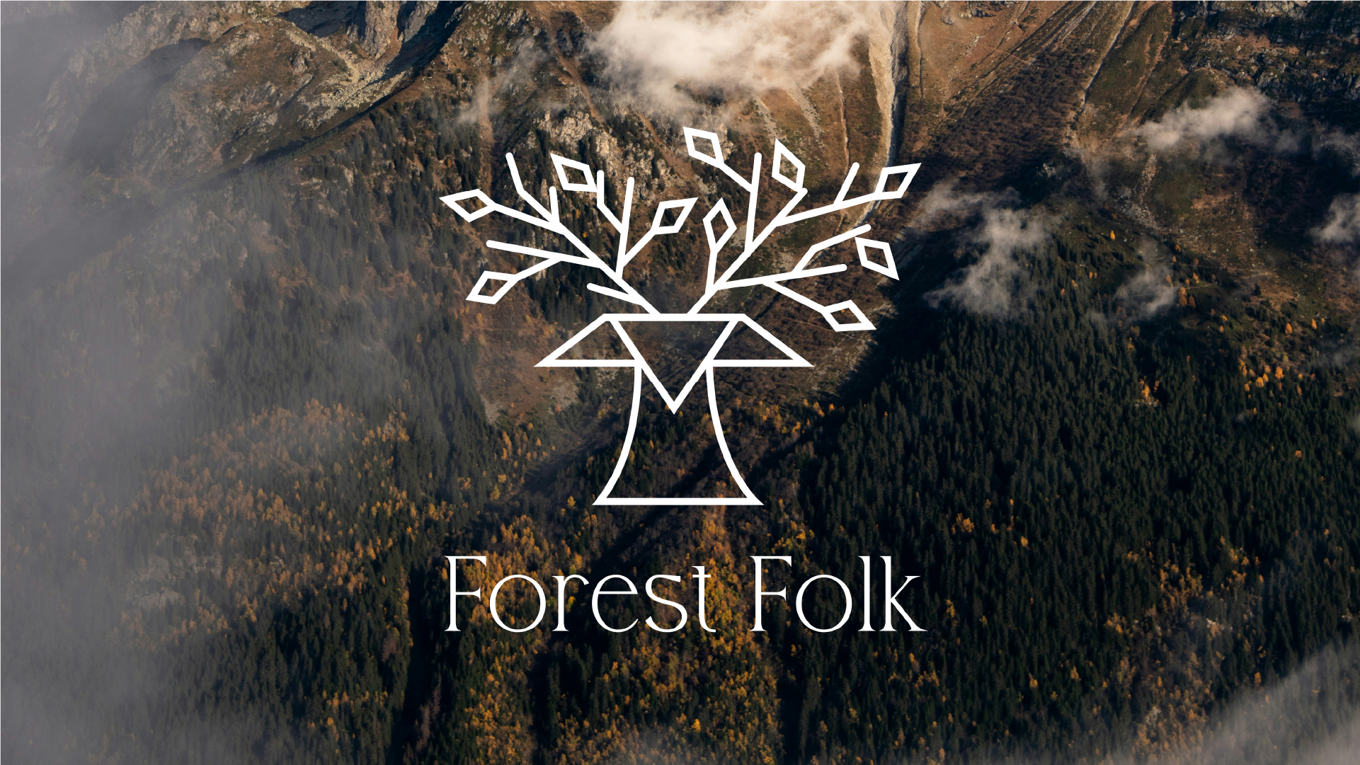 Фирменный стиль для бренда косметики «Forest Folk» — Изображение №1 — Брендинг на Dprofile