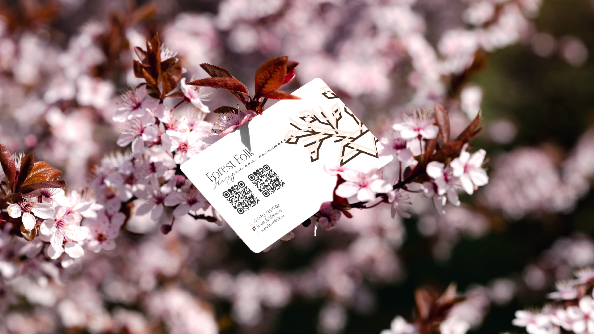 Фирменный стиль для бренда косметики «Forest Folk» — Изображение №13 — Брендинг на Dprofile