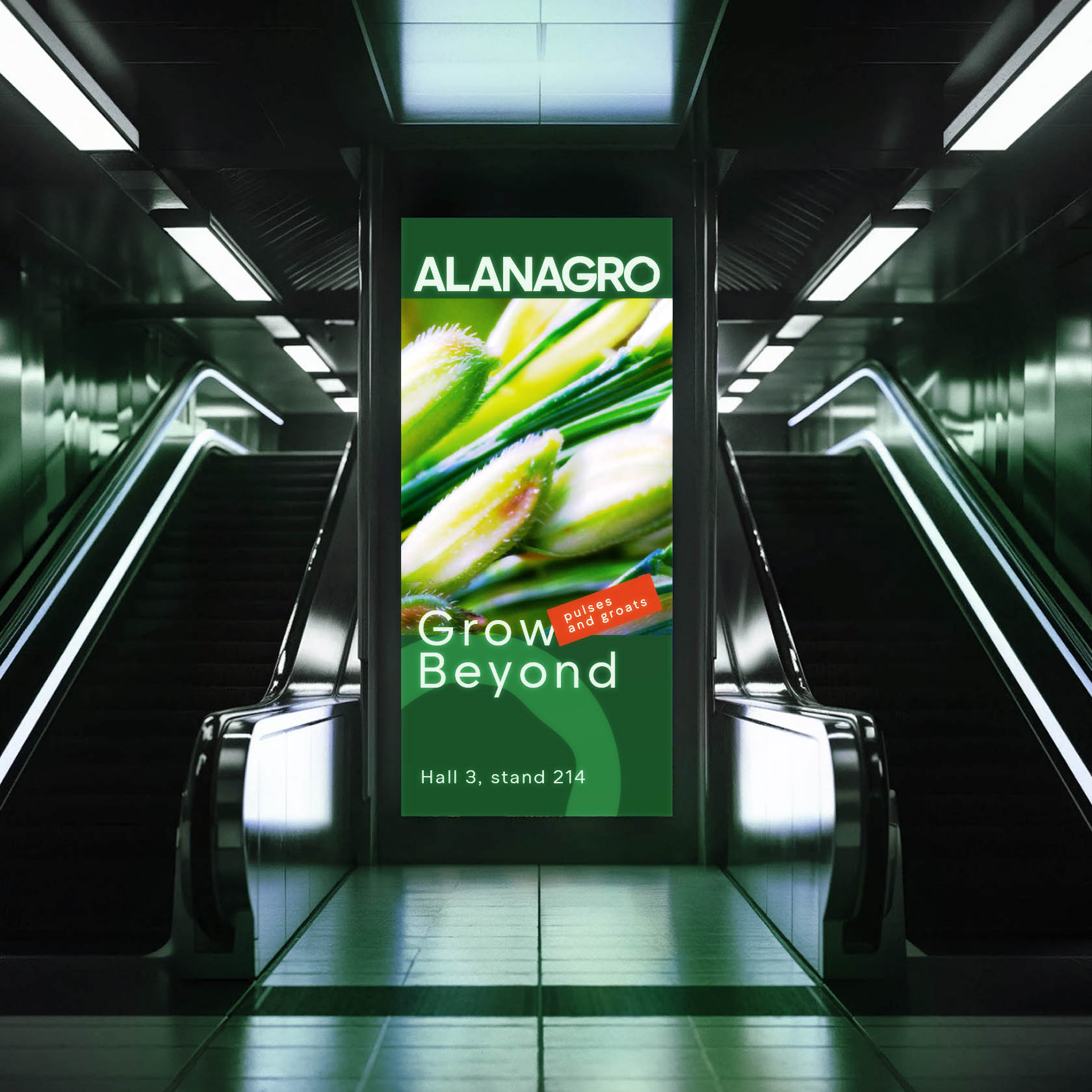 Alanagro | Экспортер зернобобовых и круп — Изображение №20 — Брендинг, Графика на Dprofile