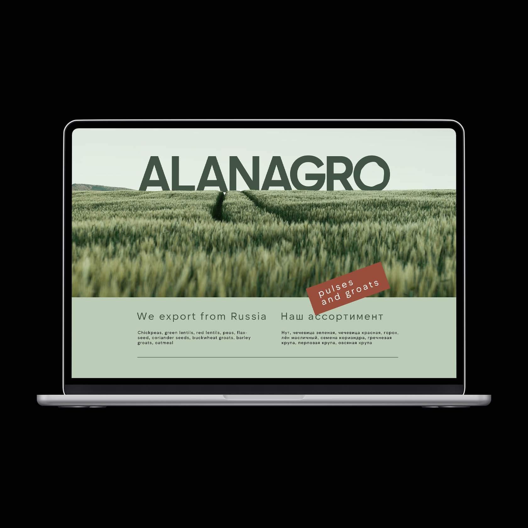Alanagro | Экспортер зернобобовых и круп — Изображение №22 — Брендинг, Графика на Dprofile
