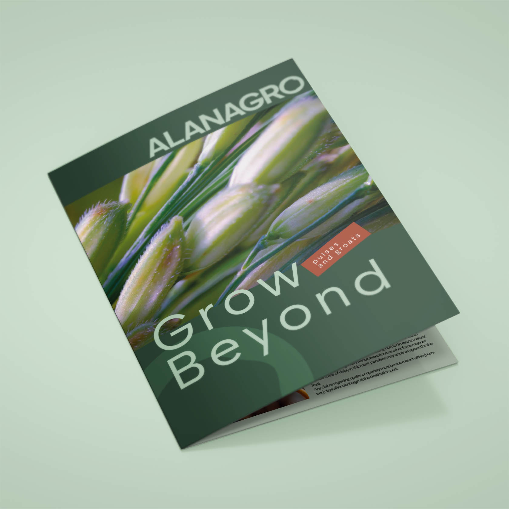 Alanagro | Экспортер зернобобовых и круп — Изображение №17 — Брендинг, Графика на Dprofile