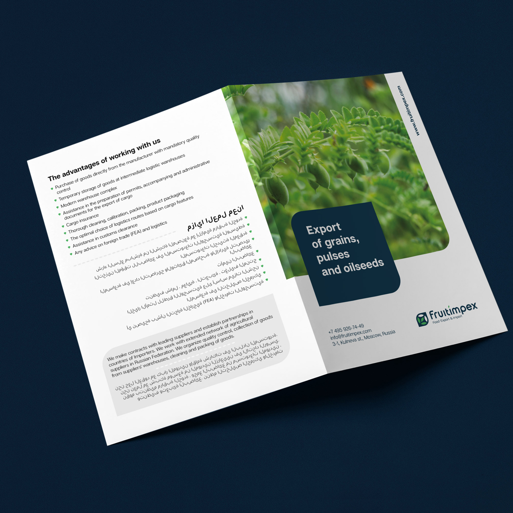 Fruitimpex | Corporate identity — Изображение №16 — Брендинг, Графика на Dprofile