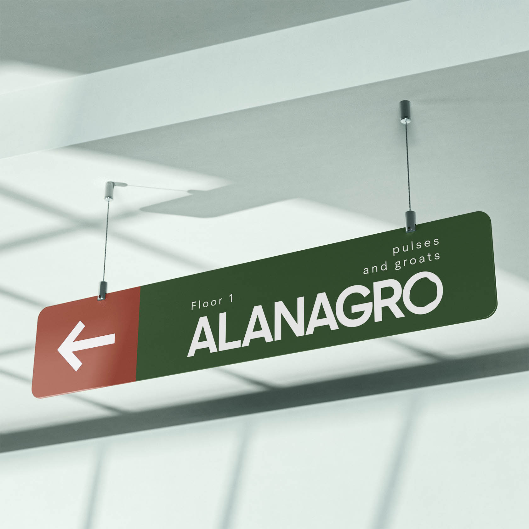 Alanagro | Экспортер зернобобовых и круп — Изображение №27 — Брендинг, Графика на Dprofile