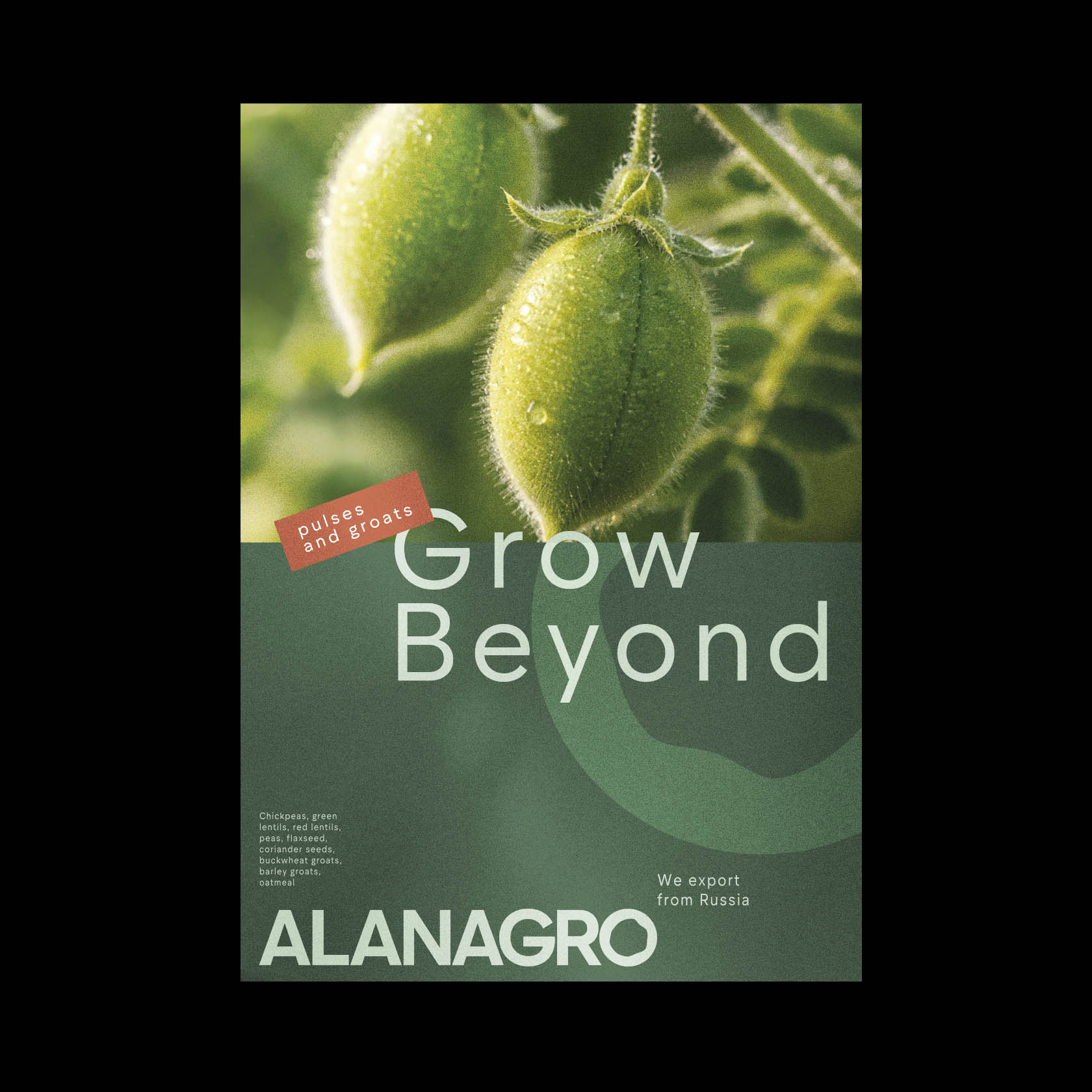 Alanagro | Экспортер зернобобовых и круп — Изображение №18 — Брендинг, Графика на Dprofile
