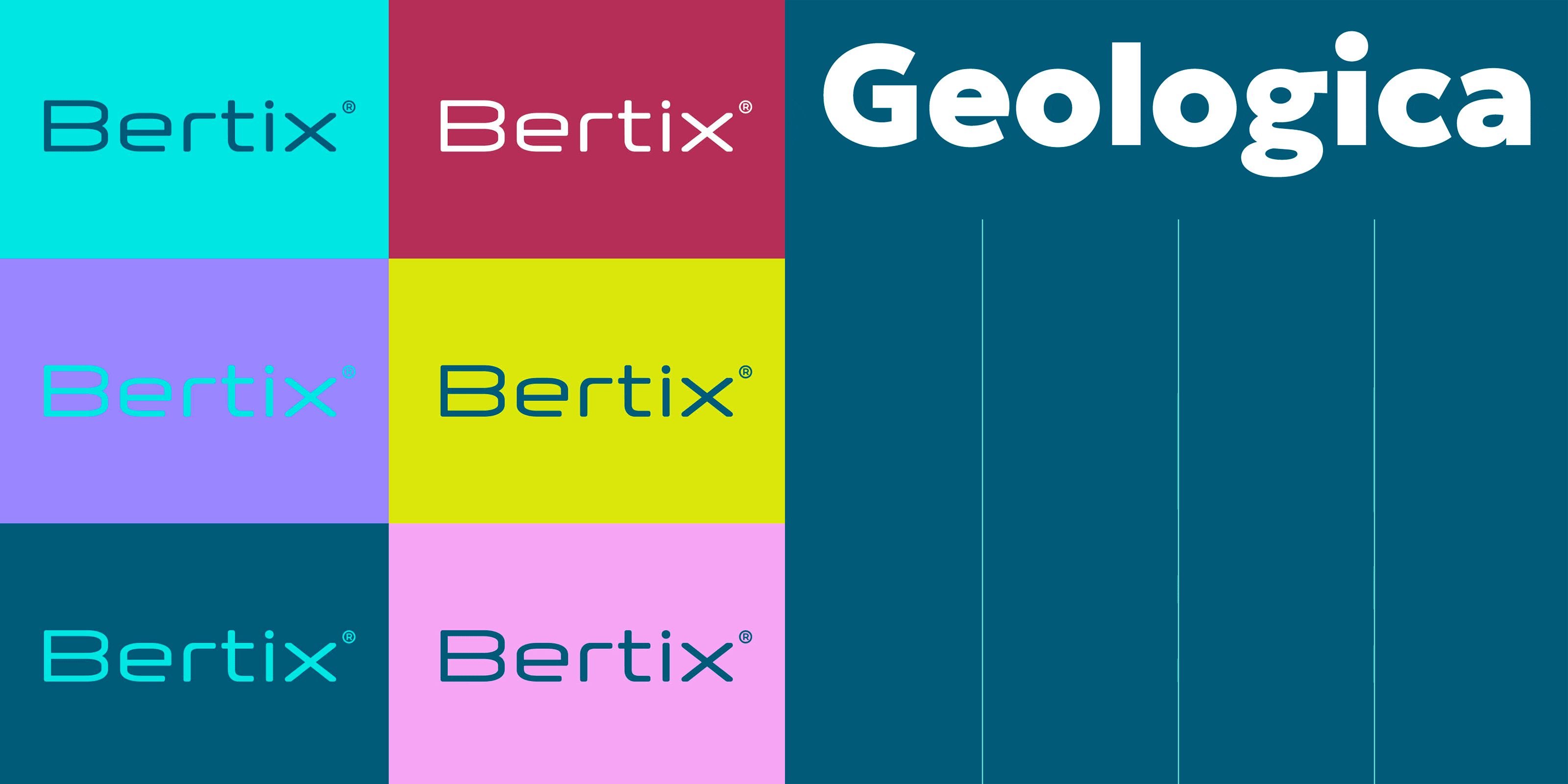 Bertix | Продуктовый брендинг — Изображение №9 — Брендинг на Dprofile