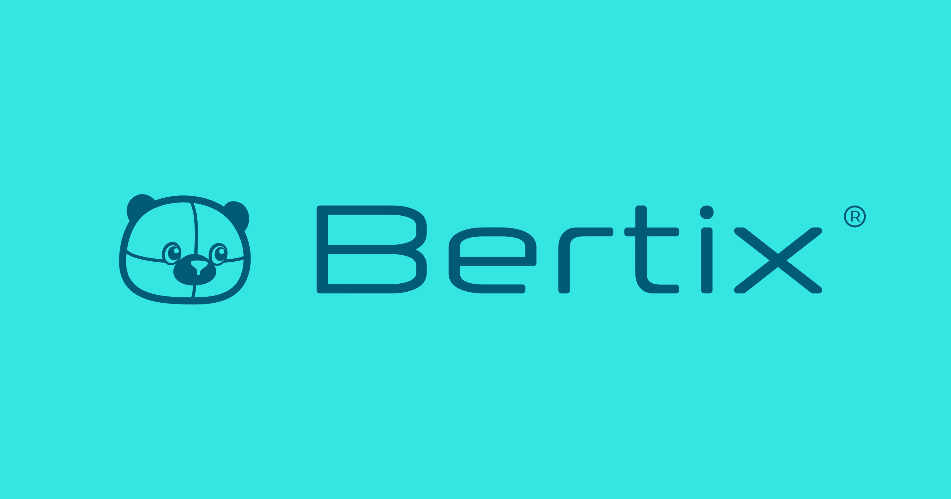 Bertix | Продуктовый брендинг — Изображение №5 — Брендинг на Dprofile