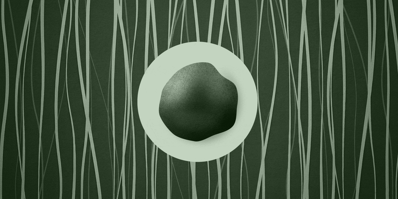 Alanagro | Экспортер зернобобовых и круп — Изображение №1 — Брендинг, Графика на Dprofile