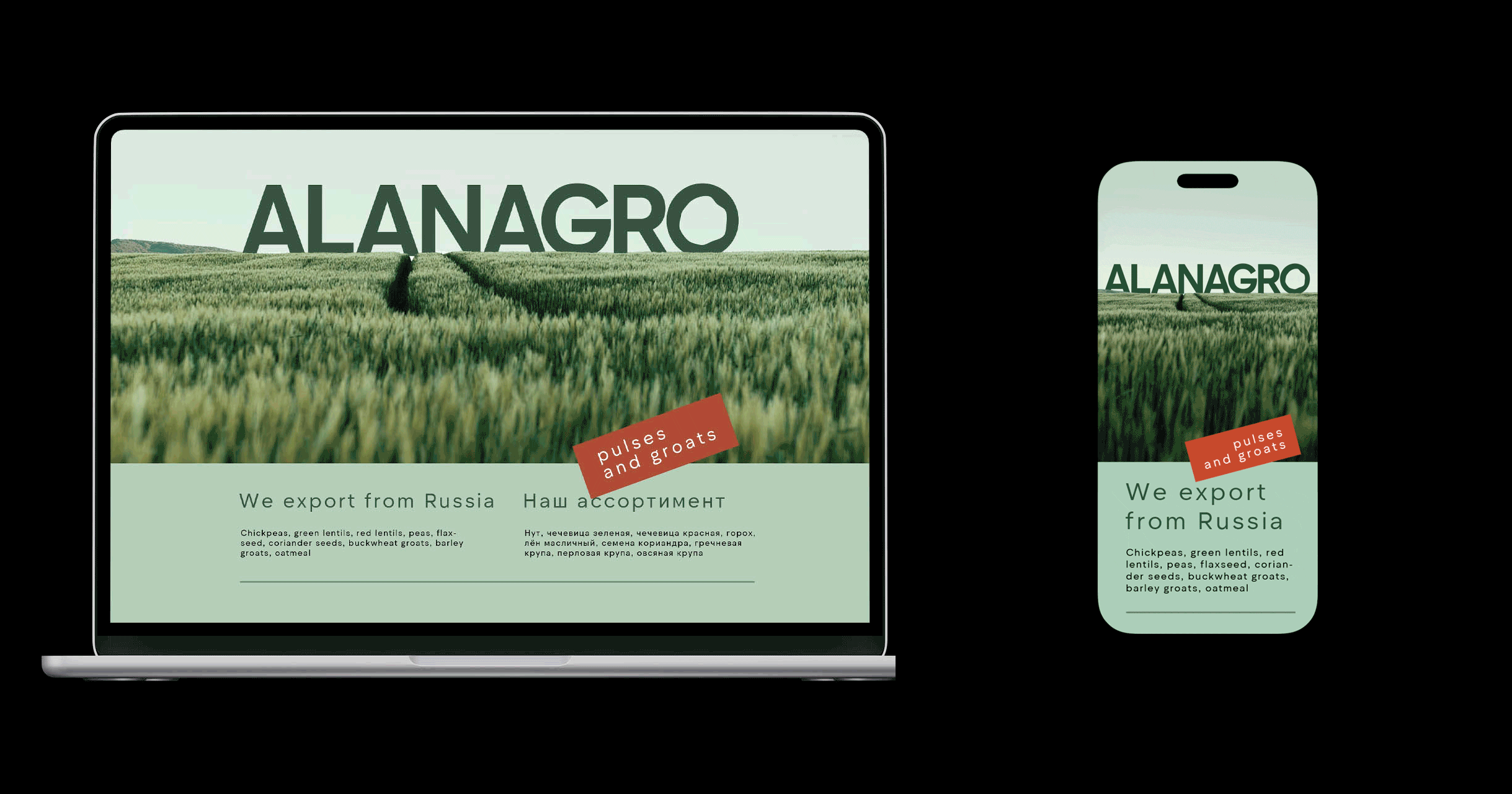 Alanagro | Экспортер зернобобовых и круп — Изображение №11 — Брендинг, Графика на Dprofile