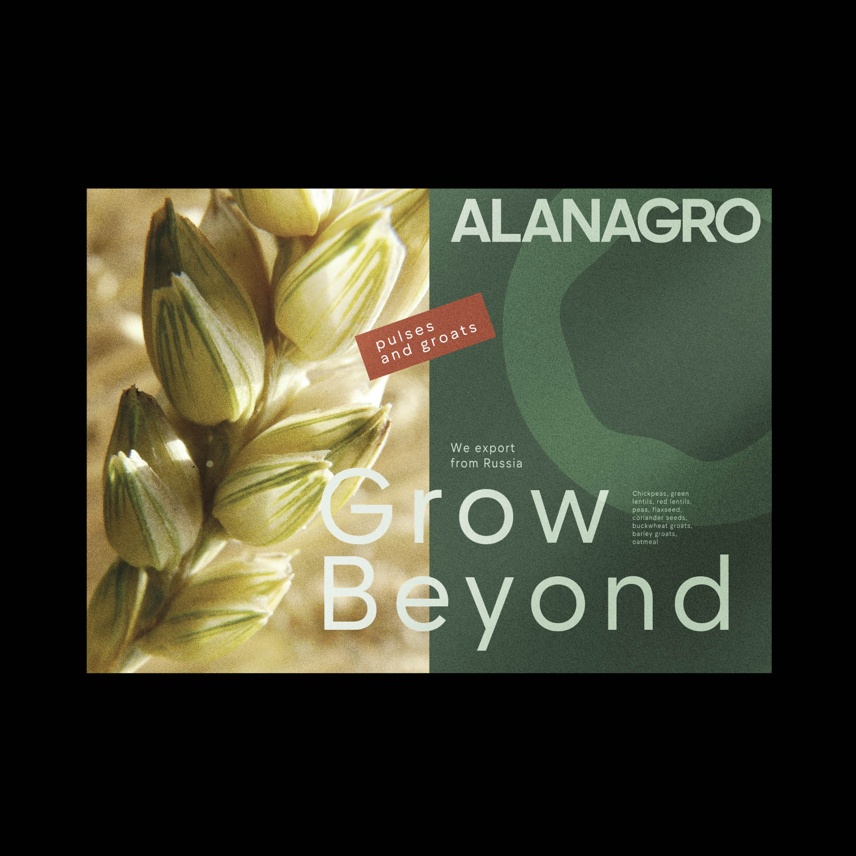 Alanagro | Экспортер зернобобовых и круп — Изображение №19 — Брендинг, Графика на Dprofile