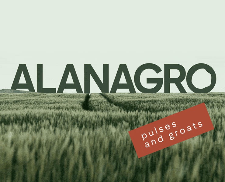 Alanagro | Экспортер зернобобовых и круп — Брендинг, Графика на Dprofile