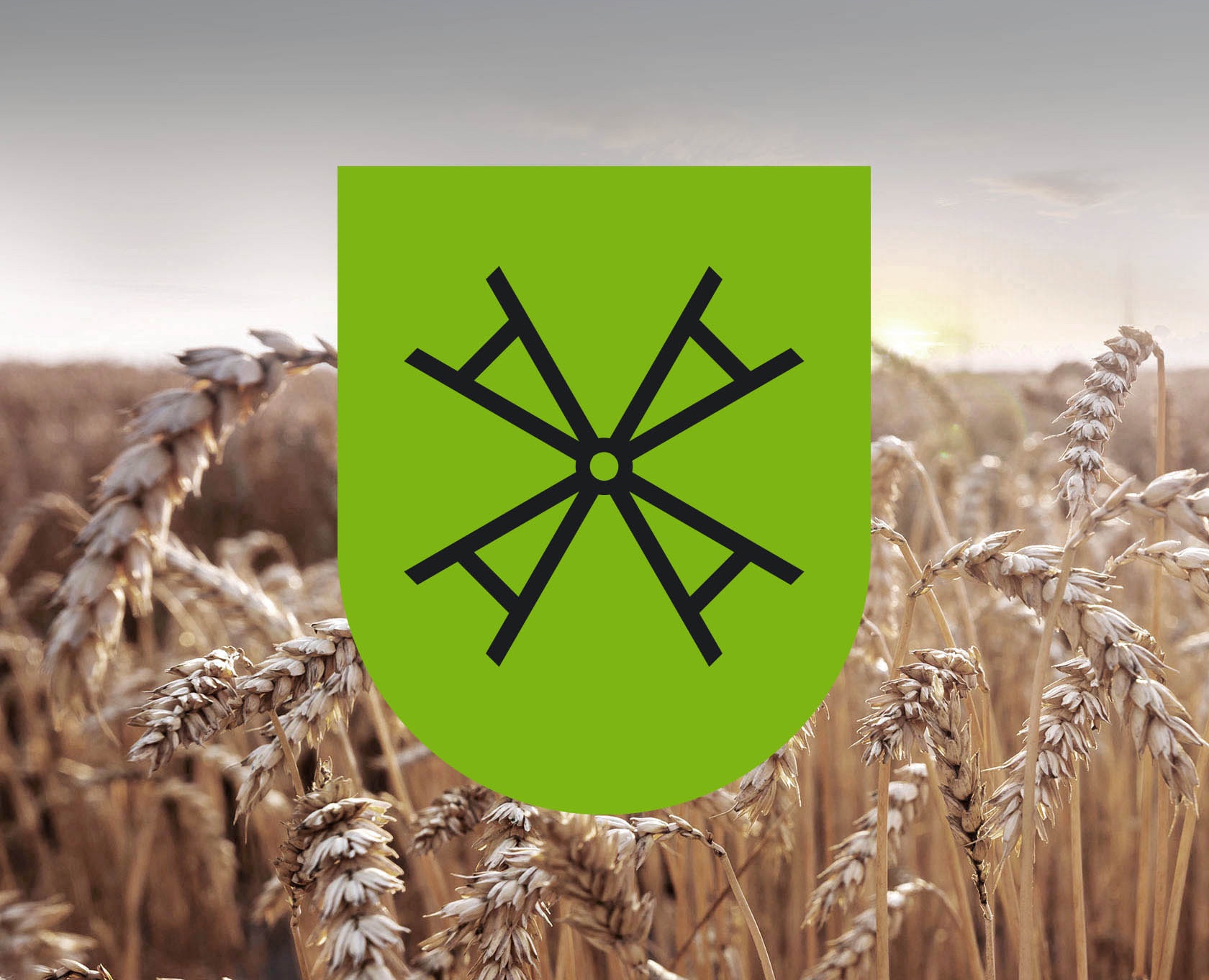 Agropolis Saburovo | Identity — Брендинг на Dprofile