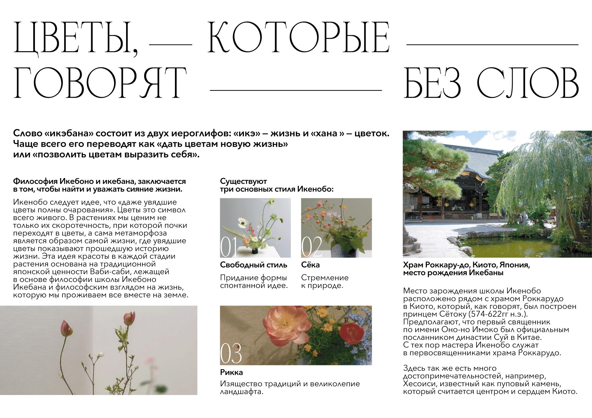 Икебана - полиграфия — Изображение №5 — Графика на Dprofile