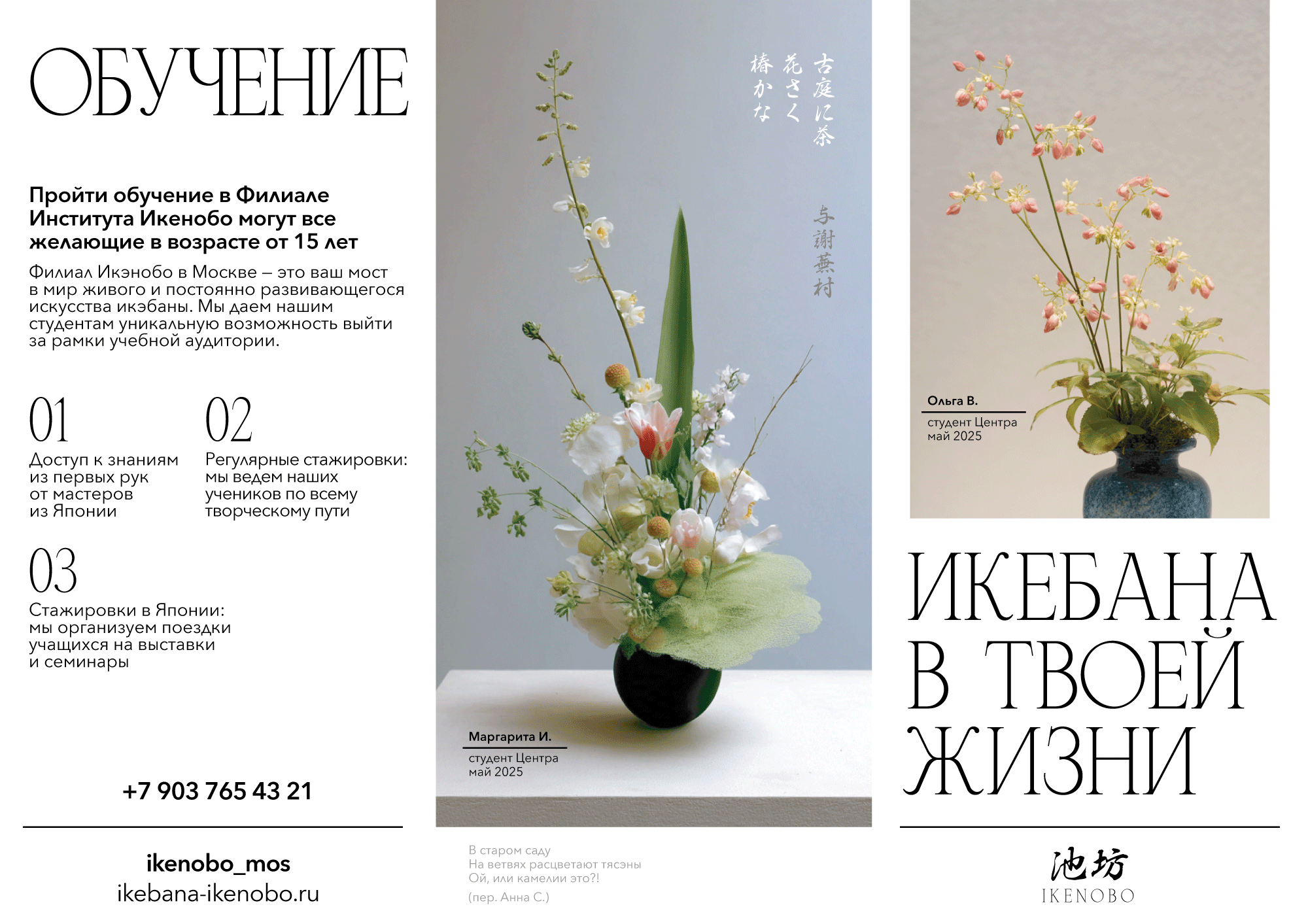 Икебана - полиграфия — Изображение №6 — Графика на Dprofile