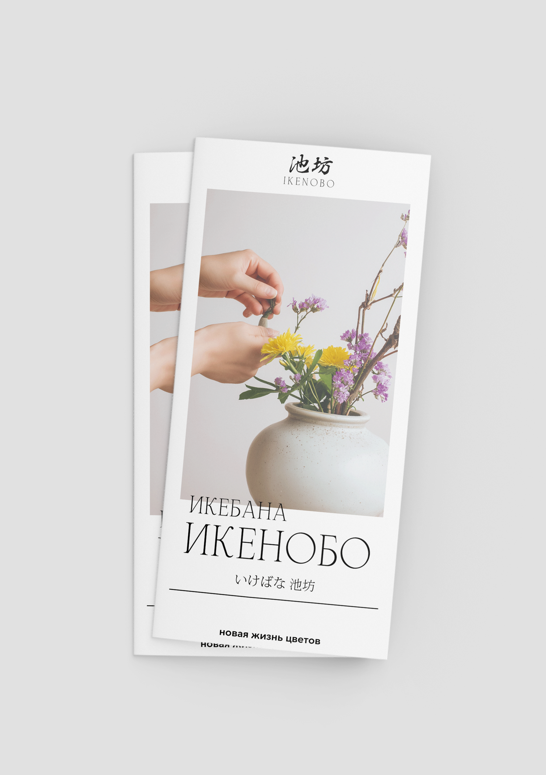 Икебана - полиграфия — Изображение №8 — Графика на Dprofile