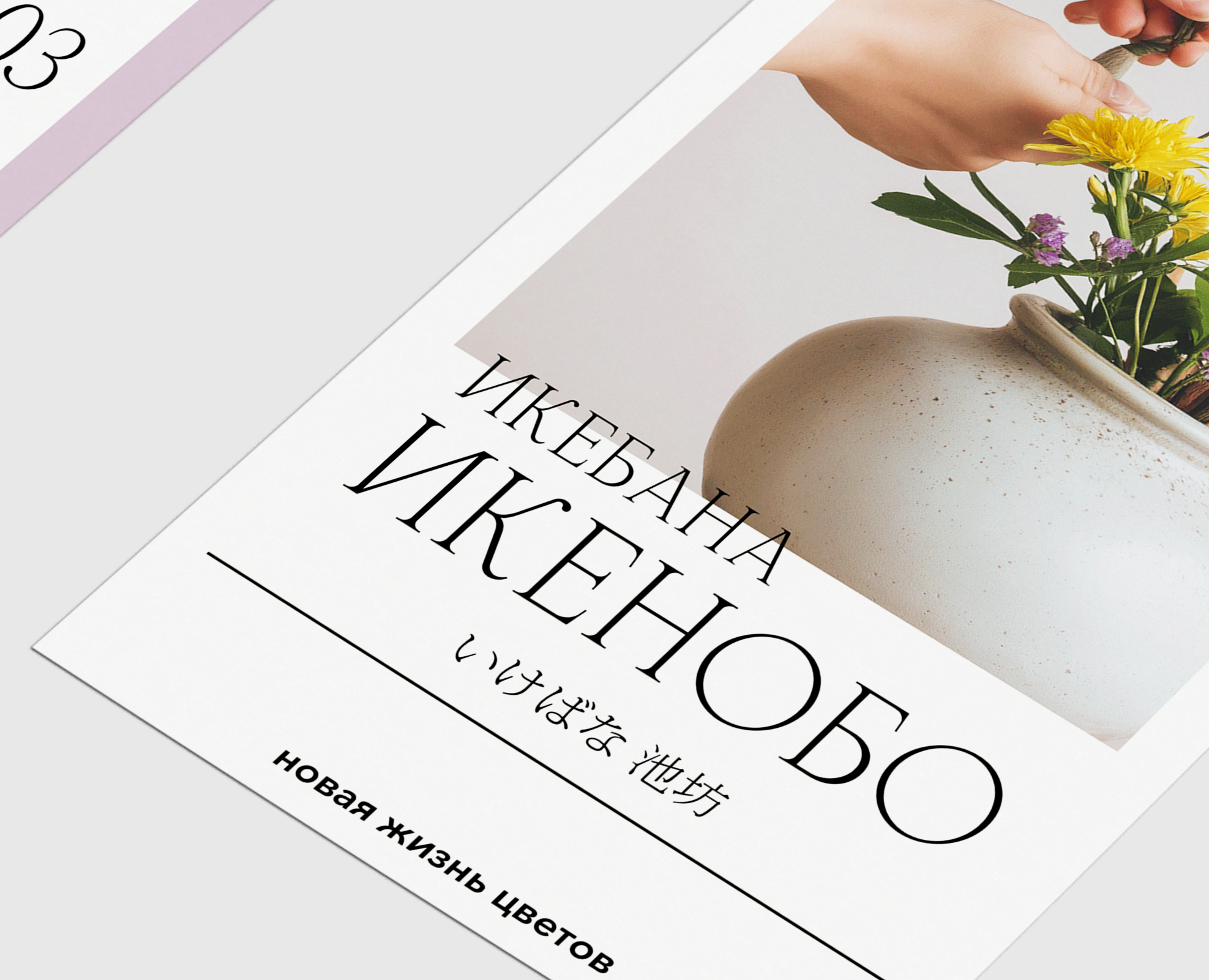 Икебана - полиграфия — Графика на Dprofile