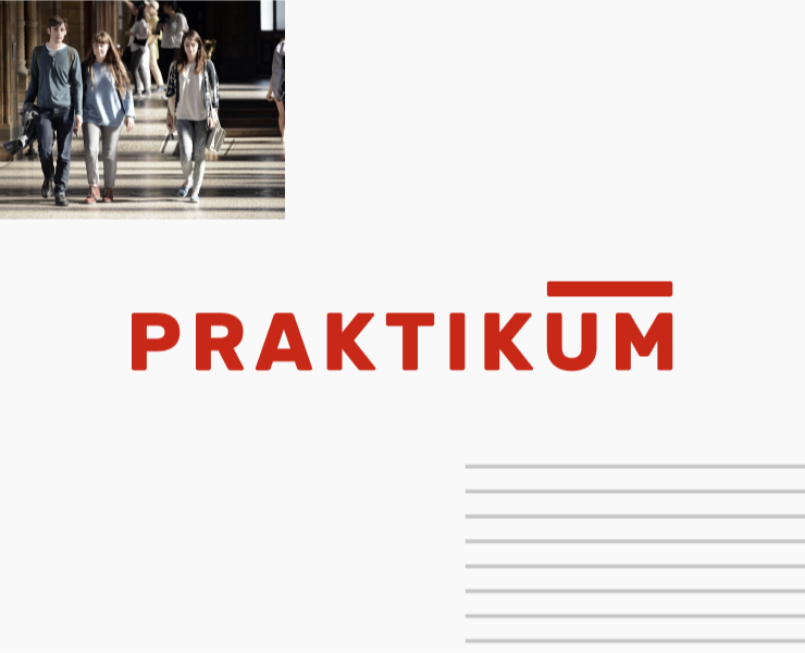 PRAKTIKUM — Интерфейсы на Dprofile