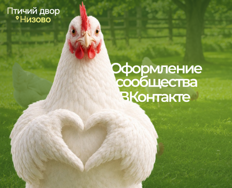 Оформление сообщества в социальных сетях|ВКонтакте — Брендинг, Графика на Dprofile