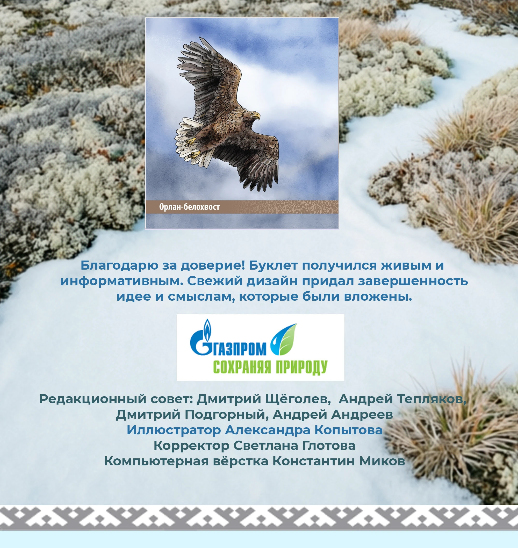 Буклет. Краснокнижные животные ЯНАО. Газпром. — Изображение №8 — Иллюстрация на Dprofile