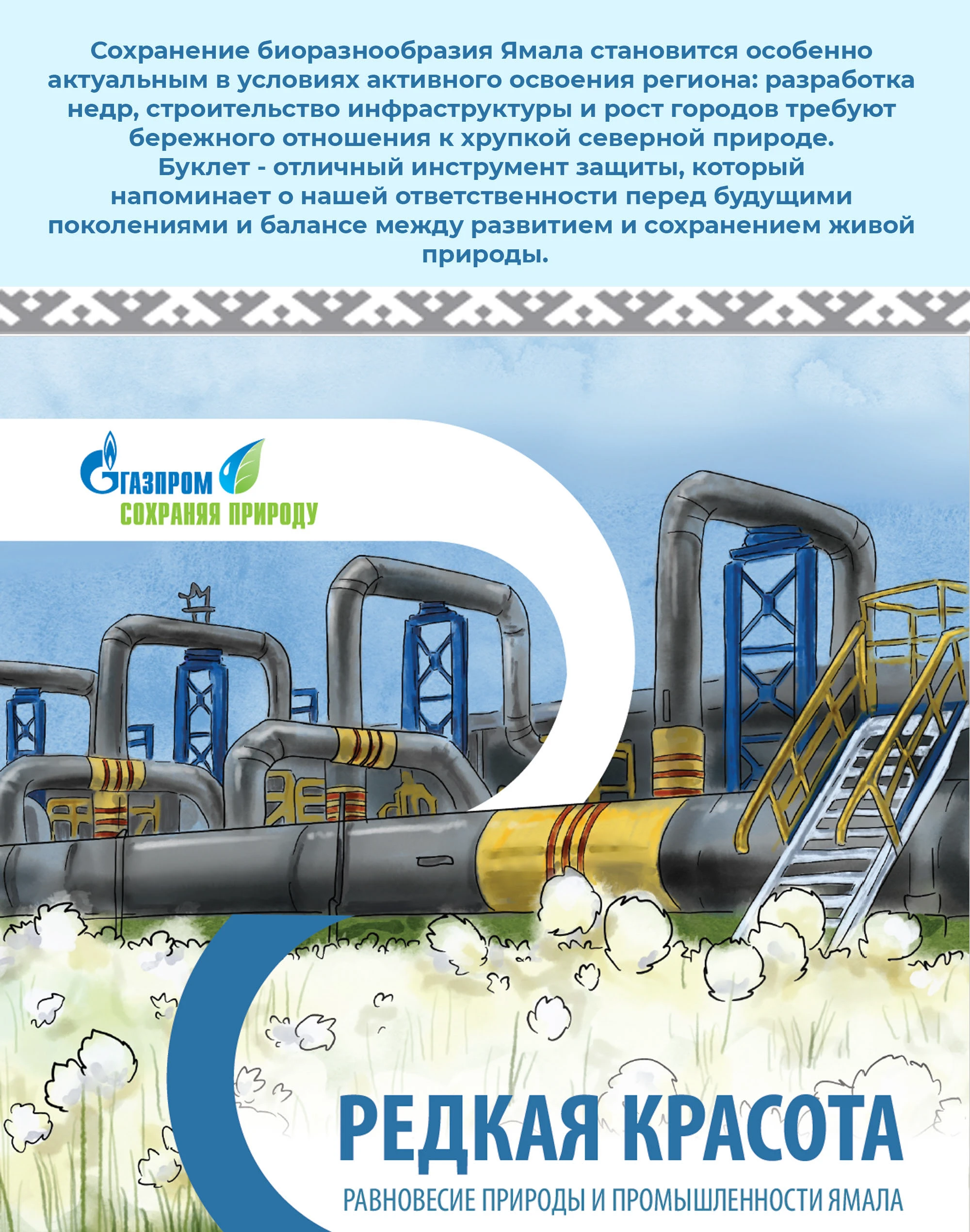 Буклет. Краснокнижные животные ЯНАО. Газпром. — Изображение №1 — Иллюстрация на Dprofile