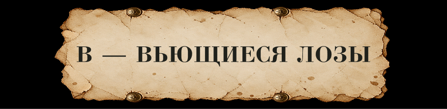 ЗАЧАРОВАННАЯ КИРИЛЛИЦА // Буквальный челлендж — Изображение №13 — Иллюстрация, Графика на Dprofile